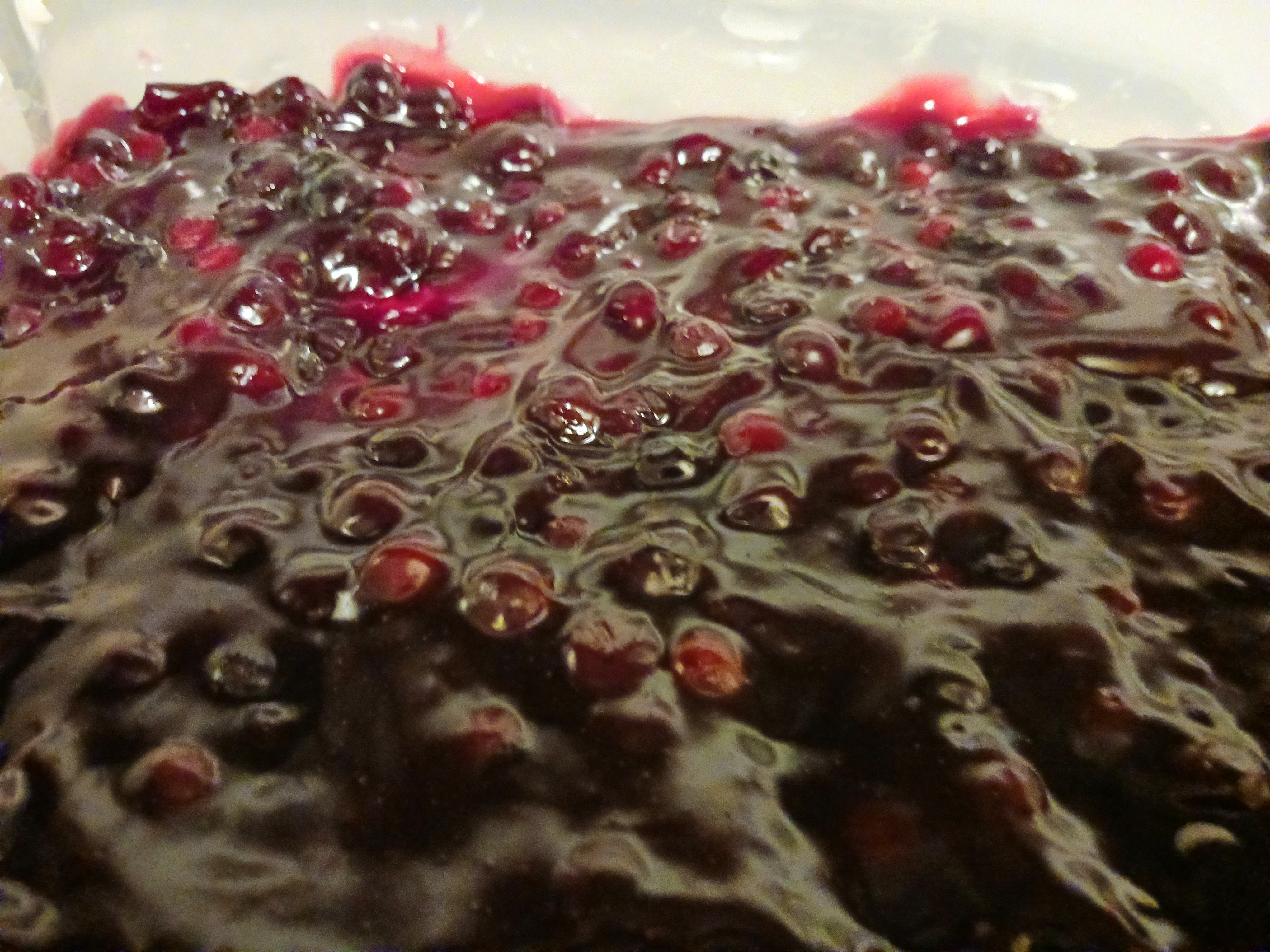 Delicious Blueberry Dessert Delight
