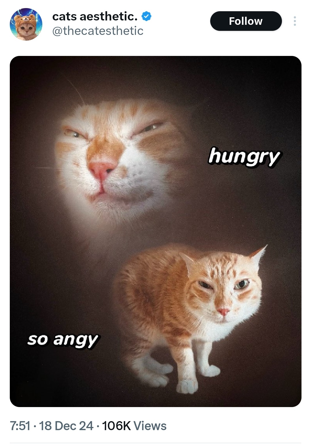 When Hunger Strikes: My Hangry Transformation