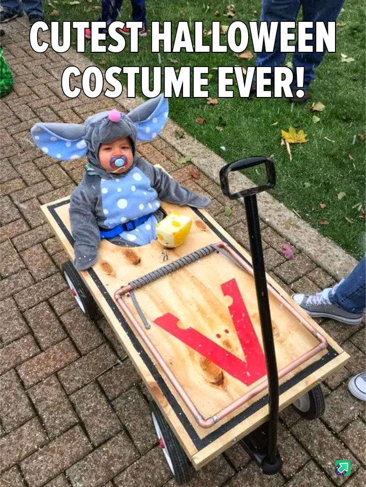 The Cutest Halloween Costume You’ll Ever See!