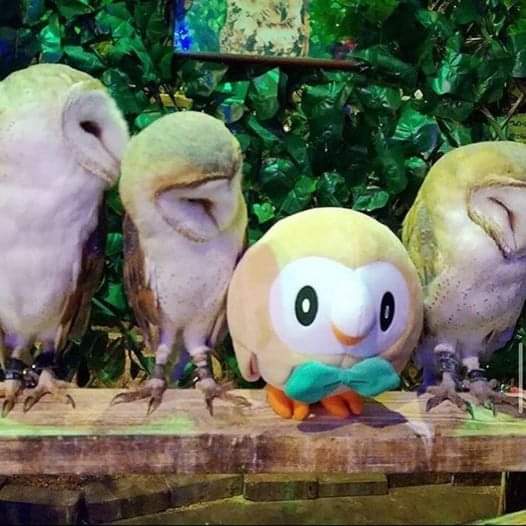 Hey Frank, Are You Doing Alright?