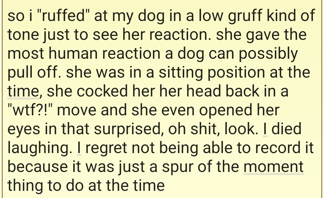 That Moment When You Totally Confuse Your Dog