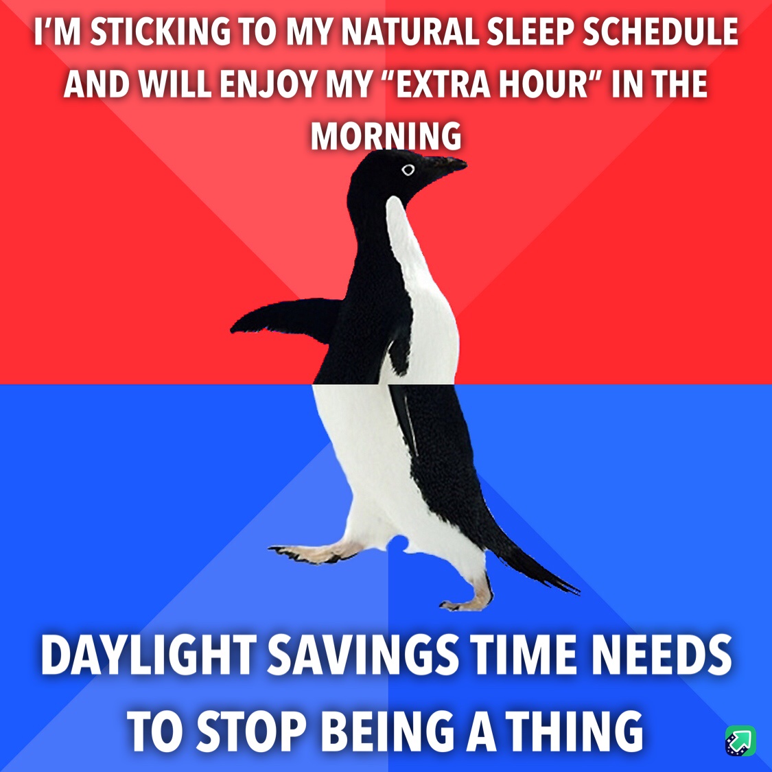 Spring Ahead, Fall Behind: The Whacky Time Change Dilemma