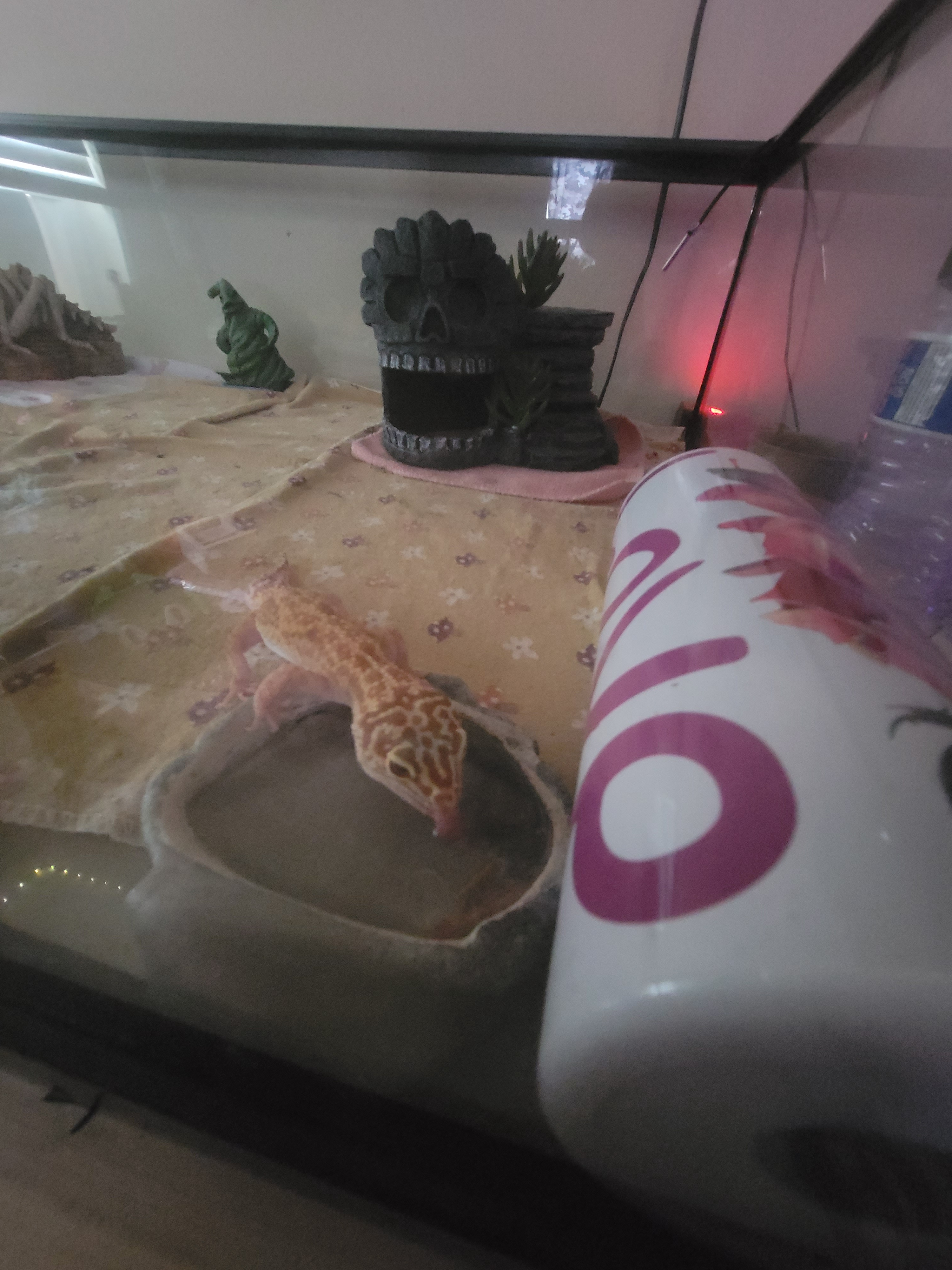 Alphys Hydrating: A Moment of Pure Joy