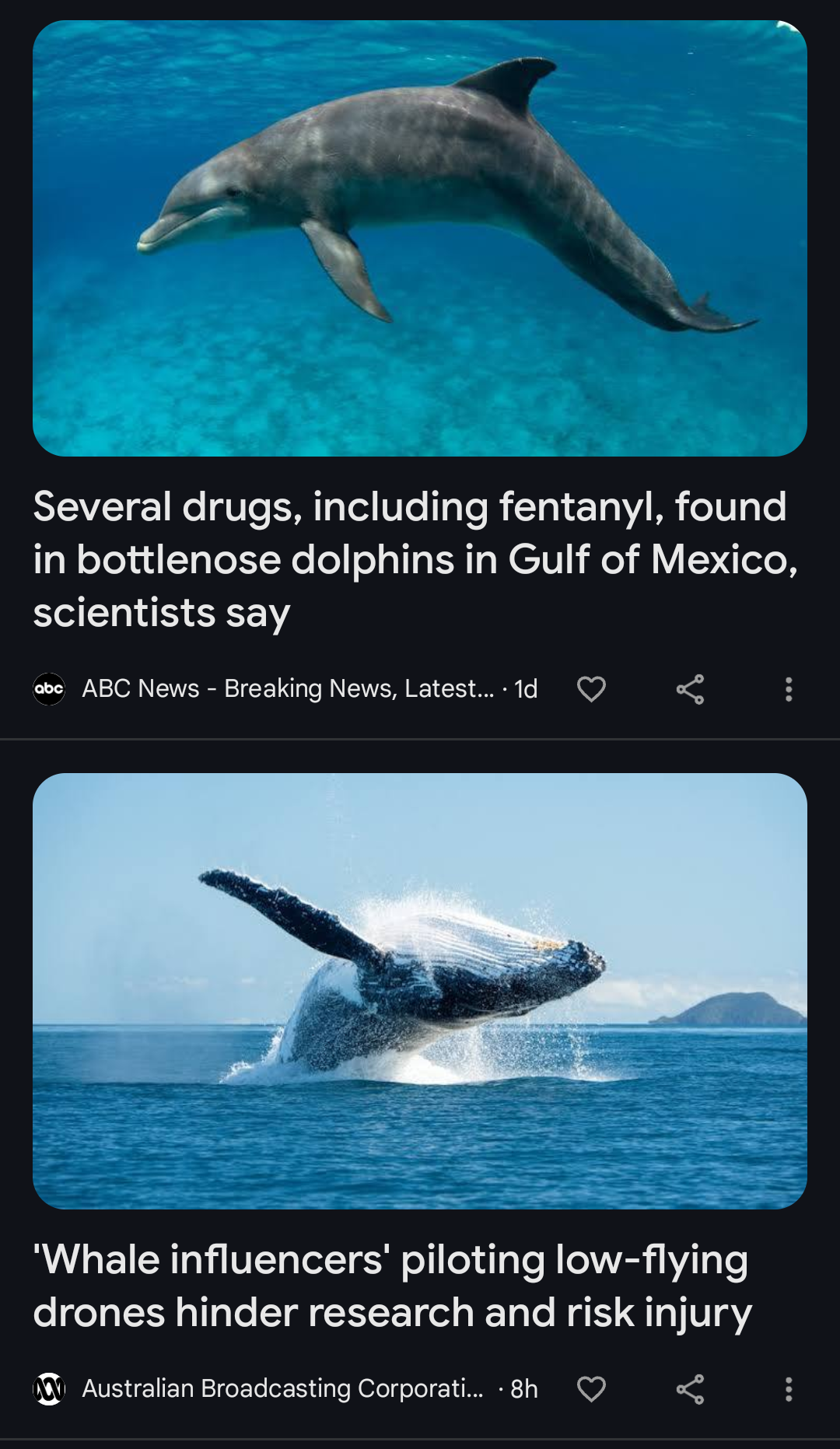 What on Earth is Happening with Cetaceans?