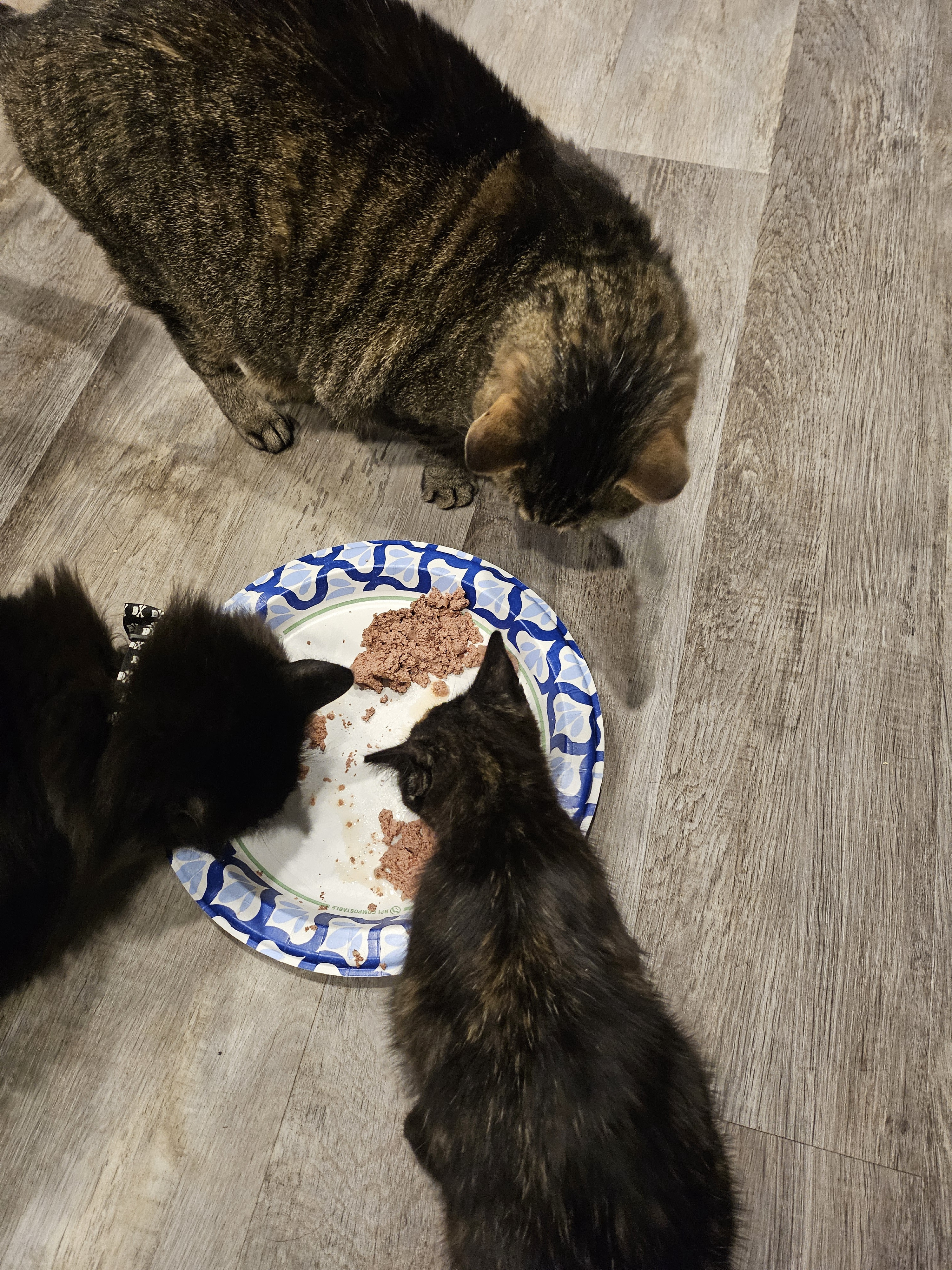 Welcome to the Family: You're One of Us Now