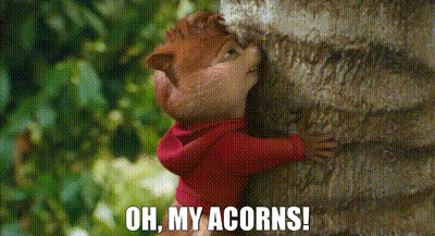 Never stop believing in acorns!