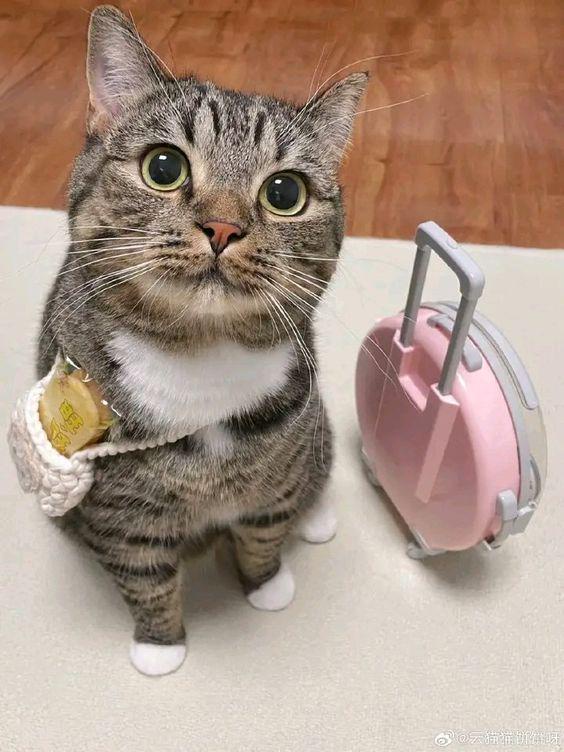 72 Heartwarming Moments to Make Your Day Brighter