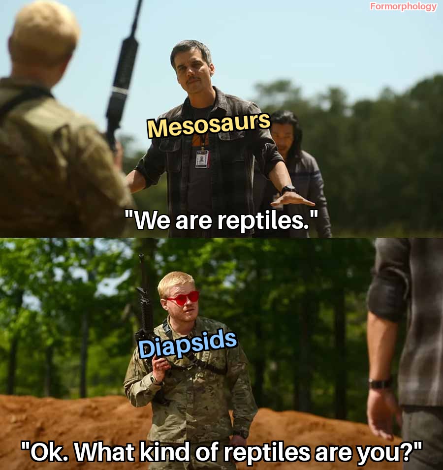 Are we talking about reptiles here?