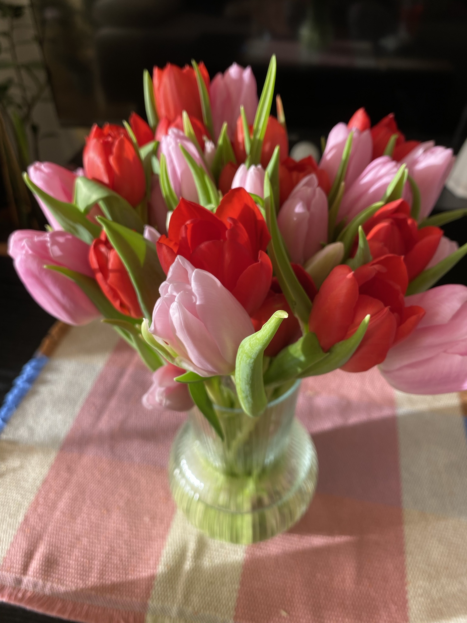 A beautiful bouquet of tulips