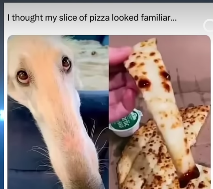 Wait a minute, this pizza looks oddly familiar...