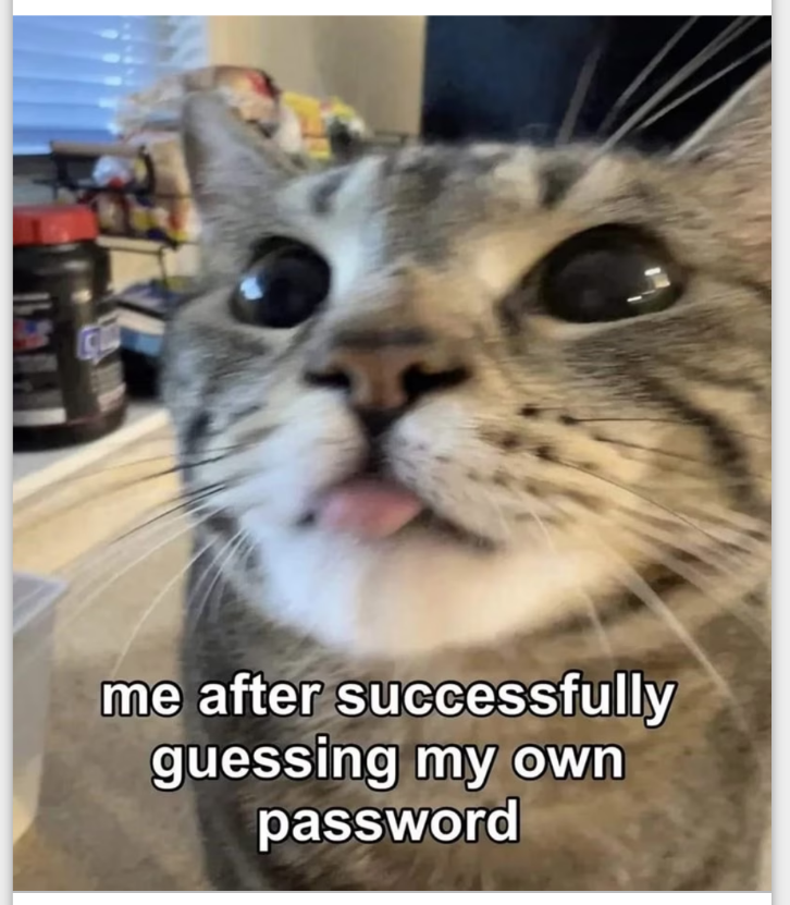 Pre-Tariff Phone Dump: A Feline Showcase