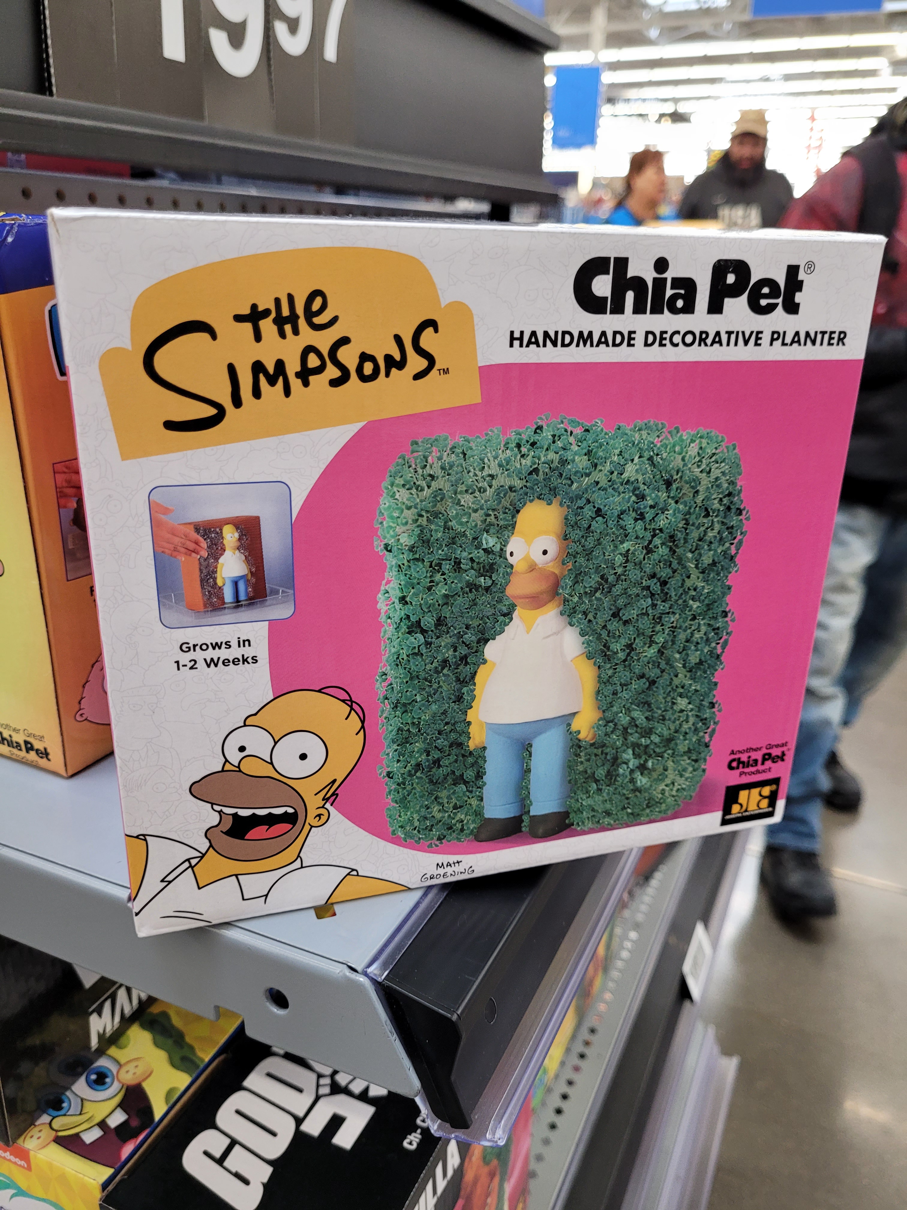 Unexpected Finds: What I Discovered at Walmart