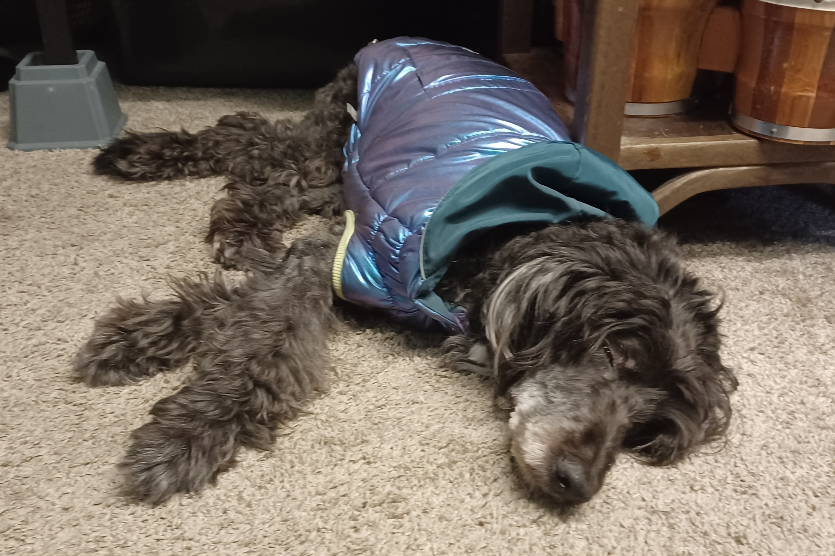 Wrapped Up in a Cozy, Warm Jacket.