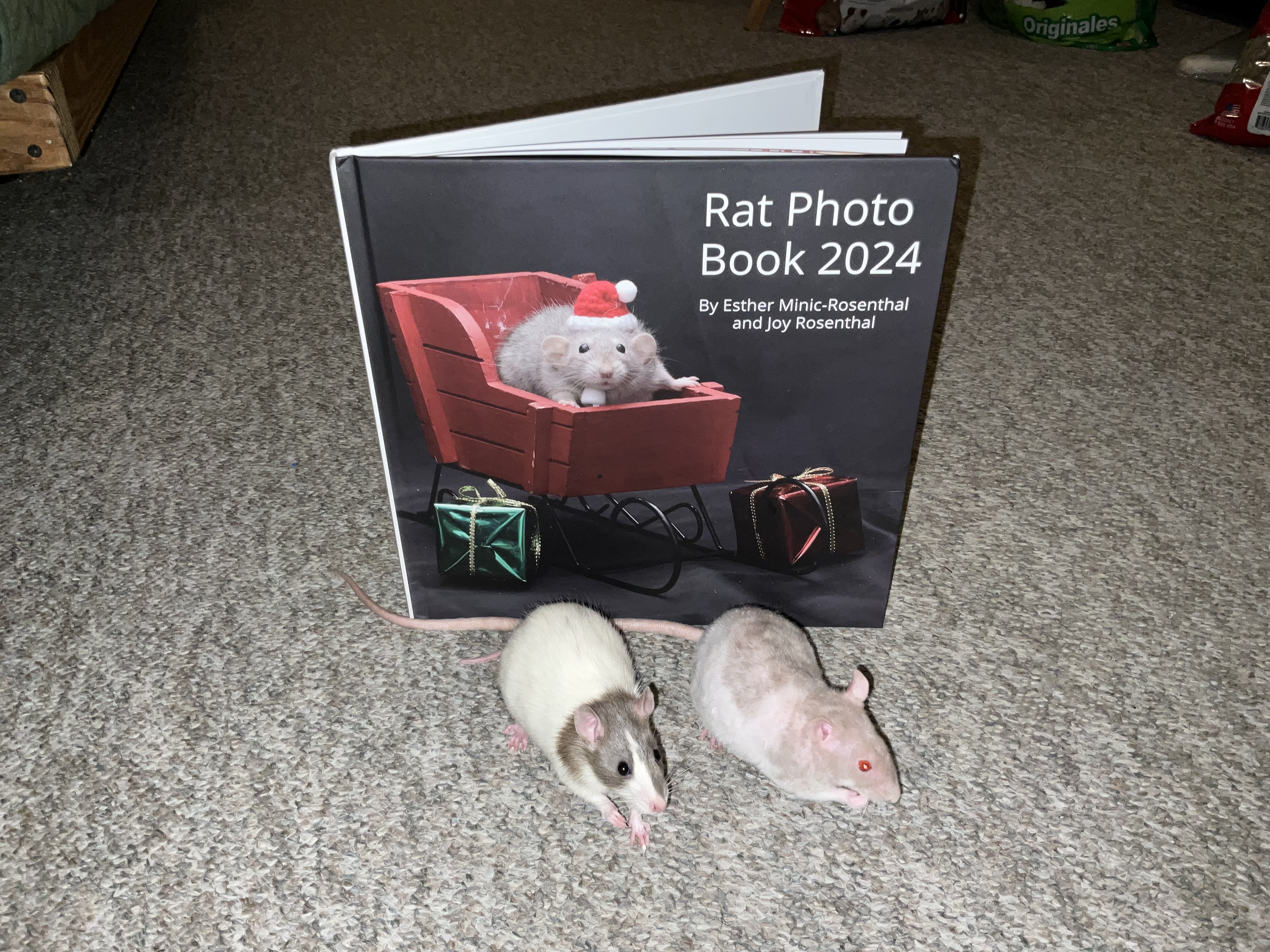 Get your hands on the 2024 Rat Photo Book now!