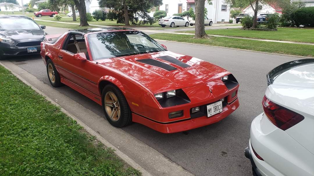 My Small but Meaningful Contribution to the Car Meet