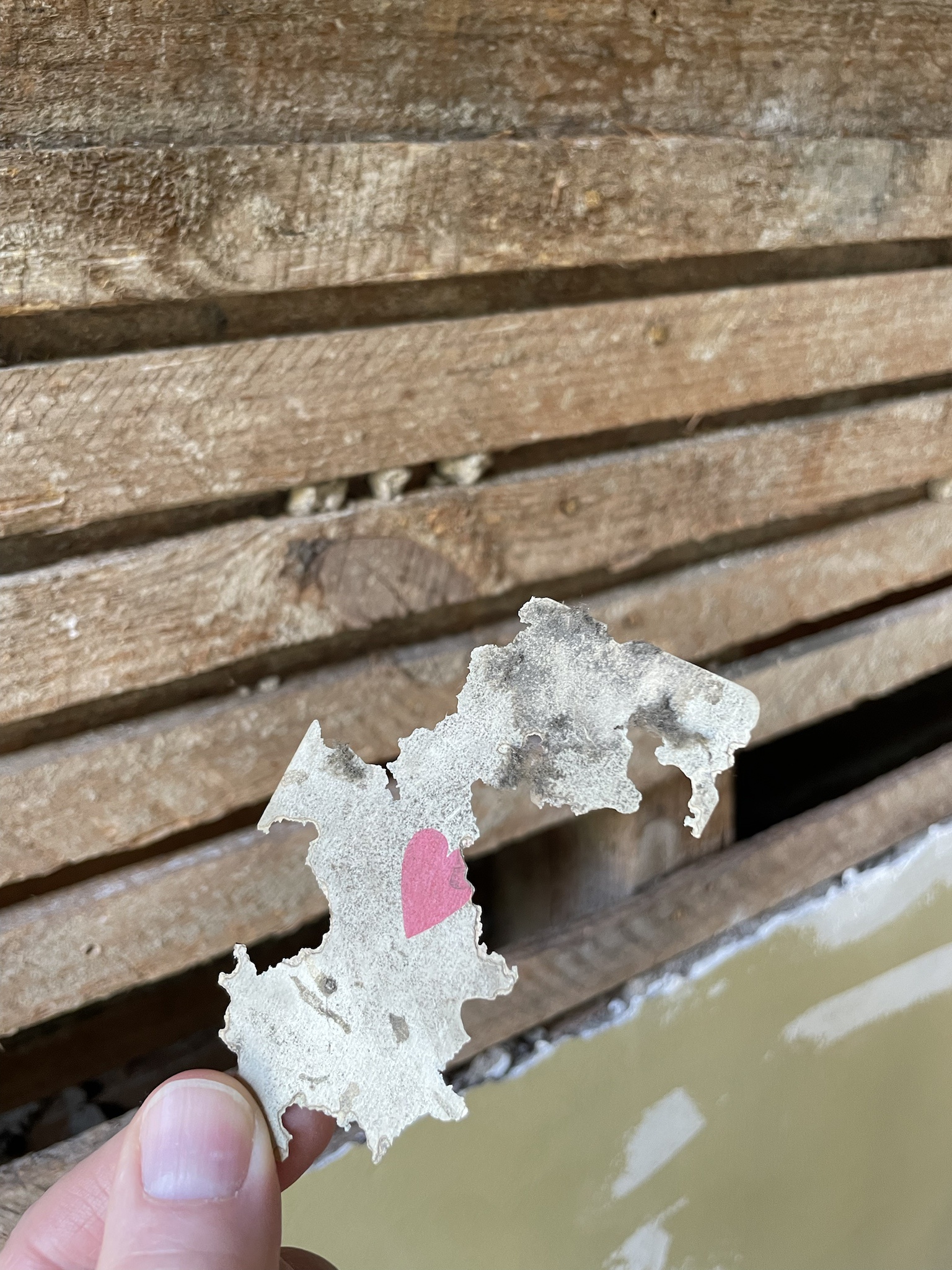 Discovering a Hidden Playing Card Inside the Wall