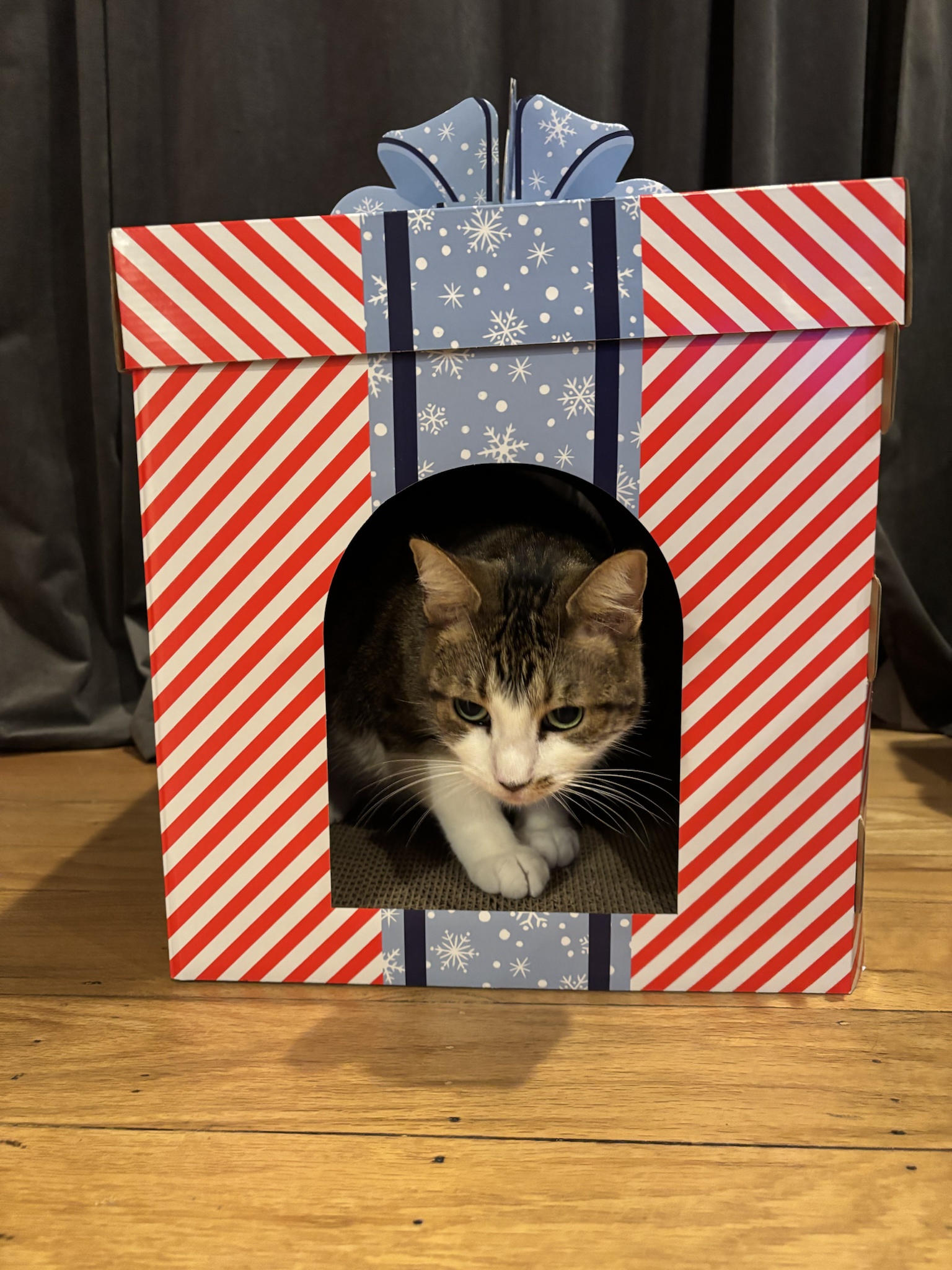 Here's a little surprise just for you!