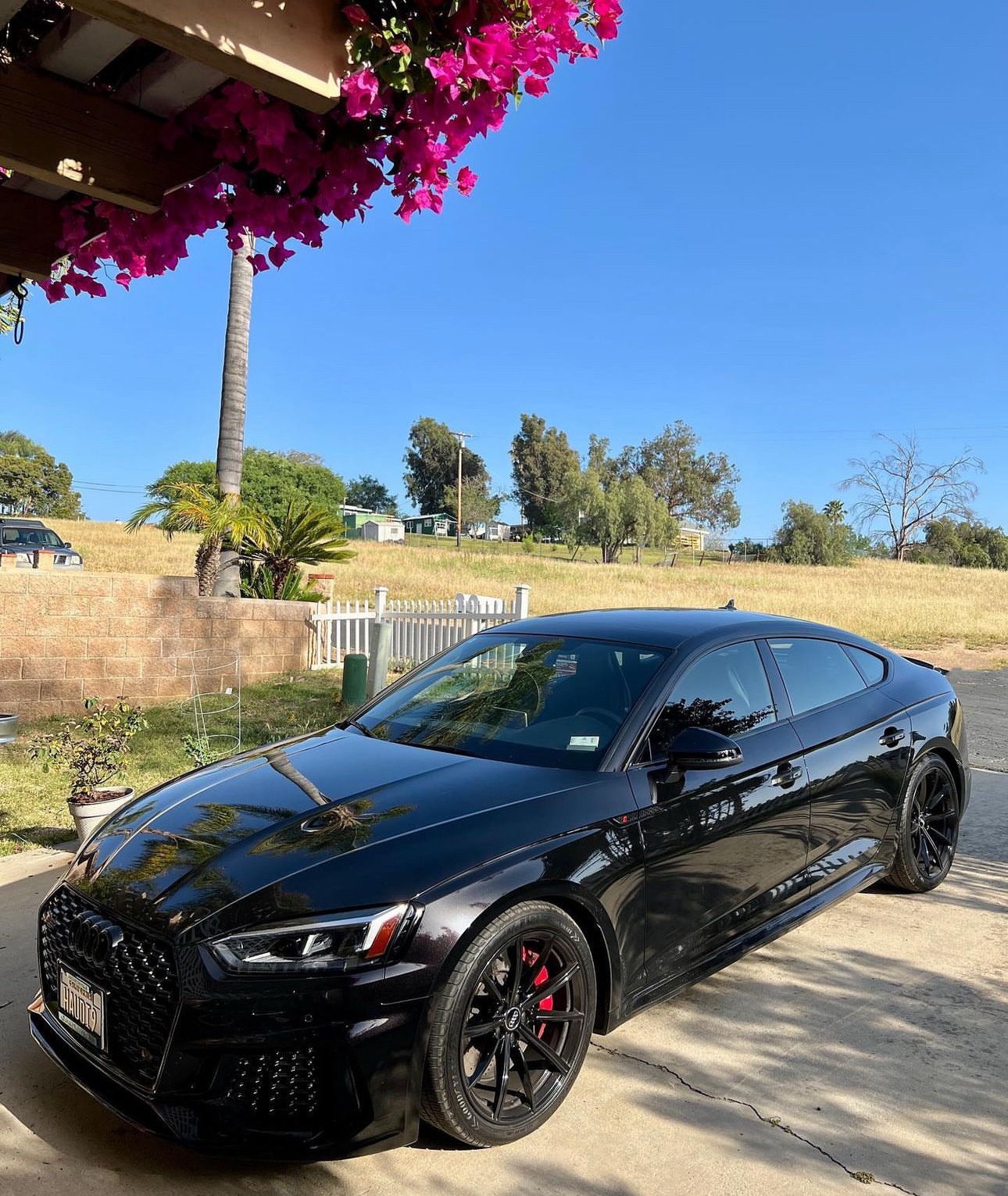 Greetings, Audi enthusiasts!