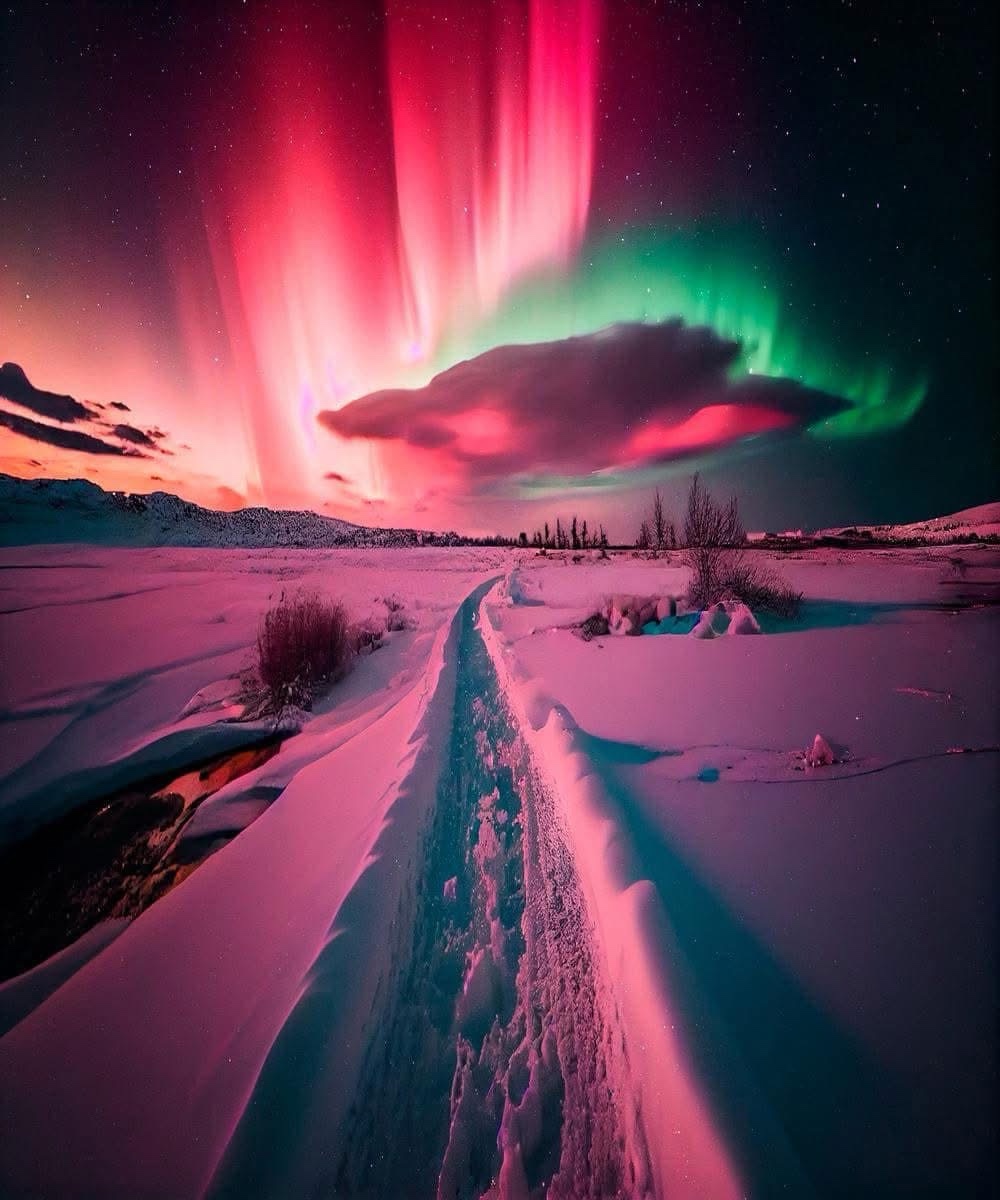 The Enigmatic Beauty of Aurora