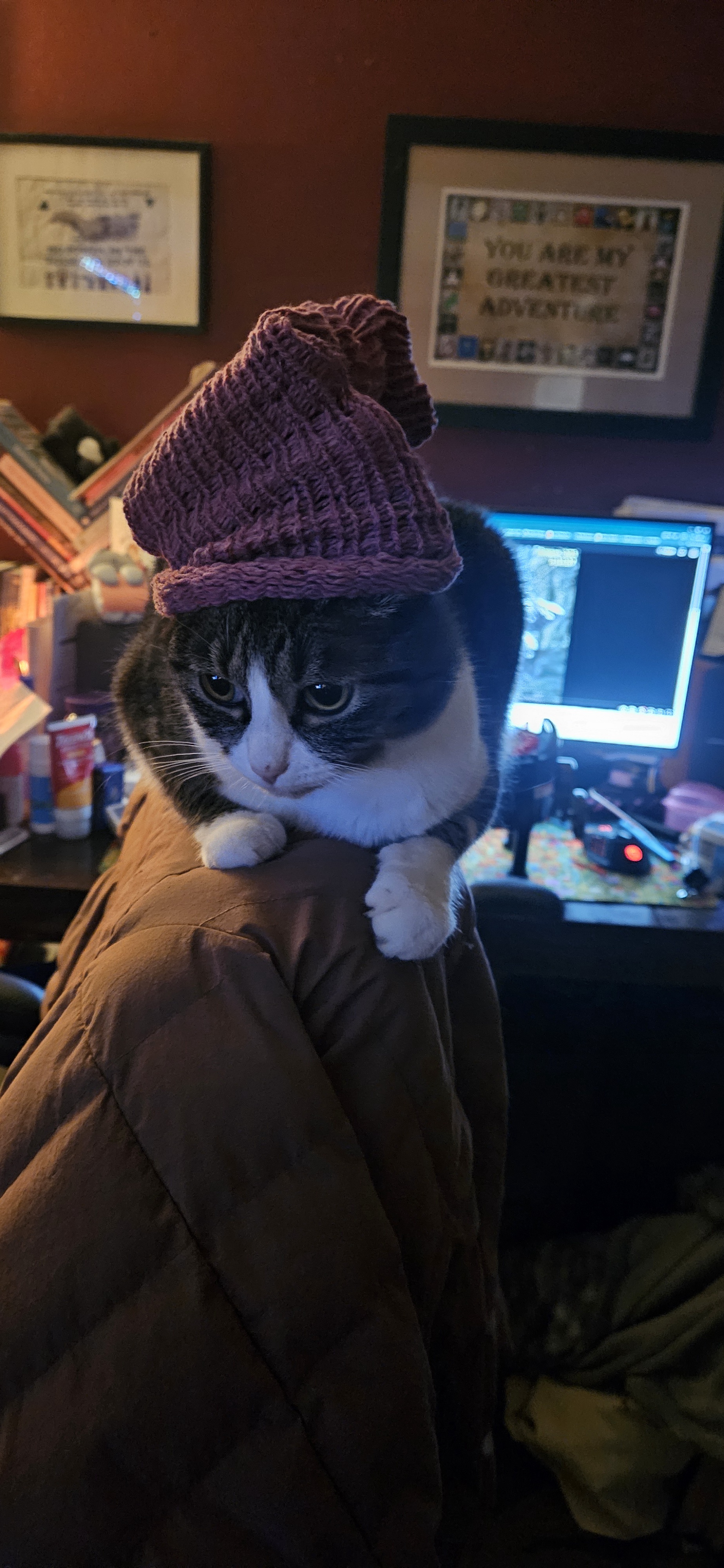 I crafted a tiny beanie for Tonks!