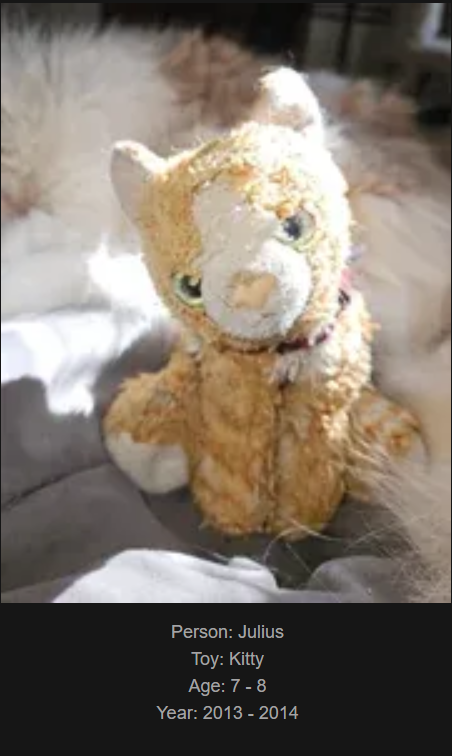 Day 777: Join Me on My Journey at www.saidtheskinhorse.com - Celebrating Childhood Toys with Our Newest Addition, Kitty!