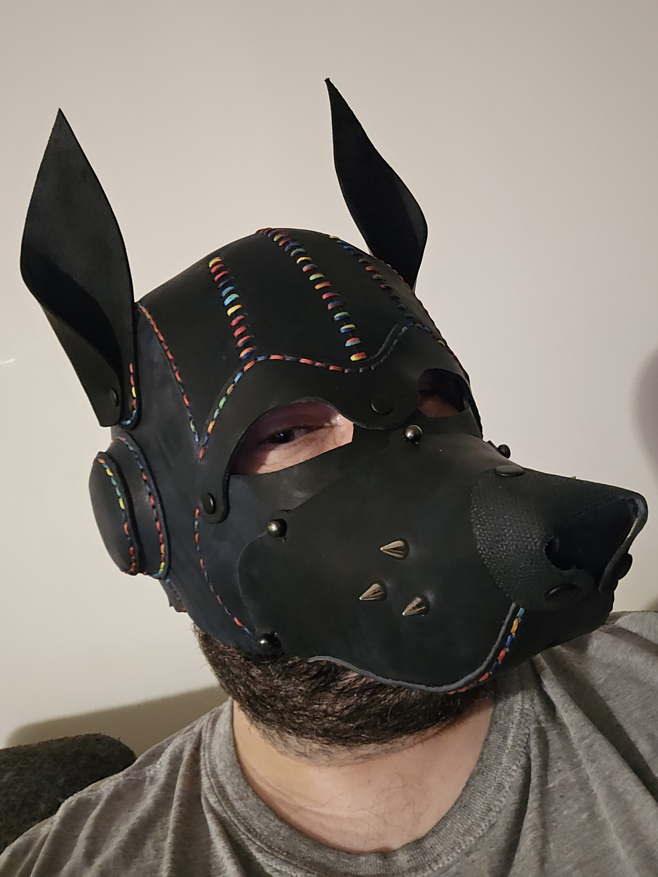 The Intriguing Leather Dog Mask
