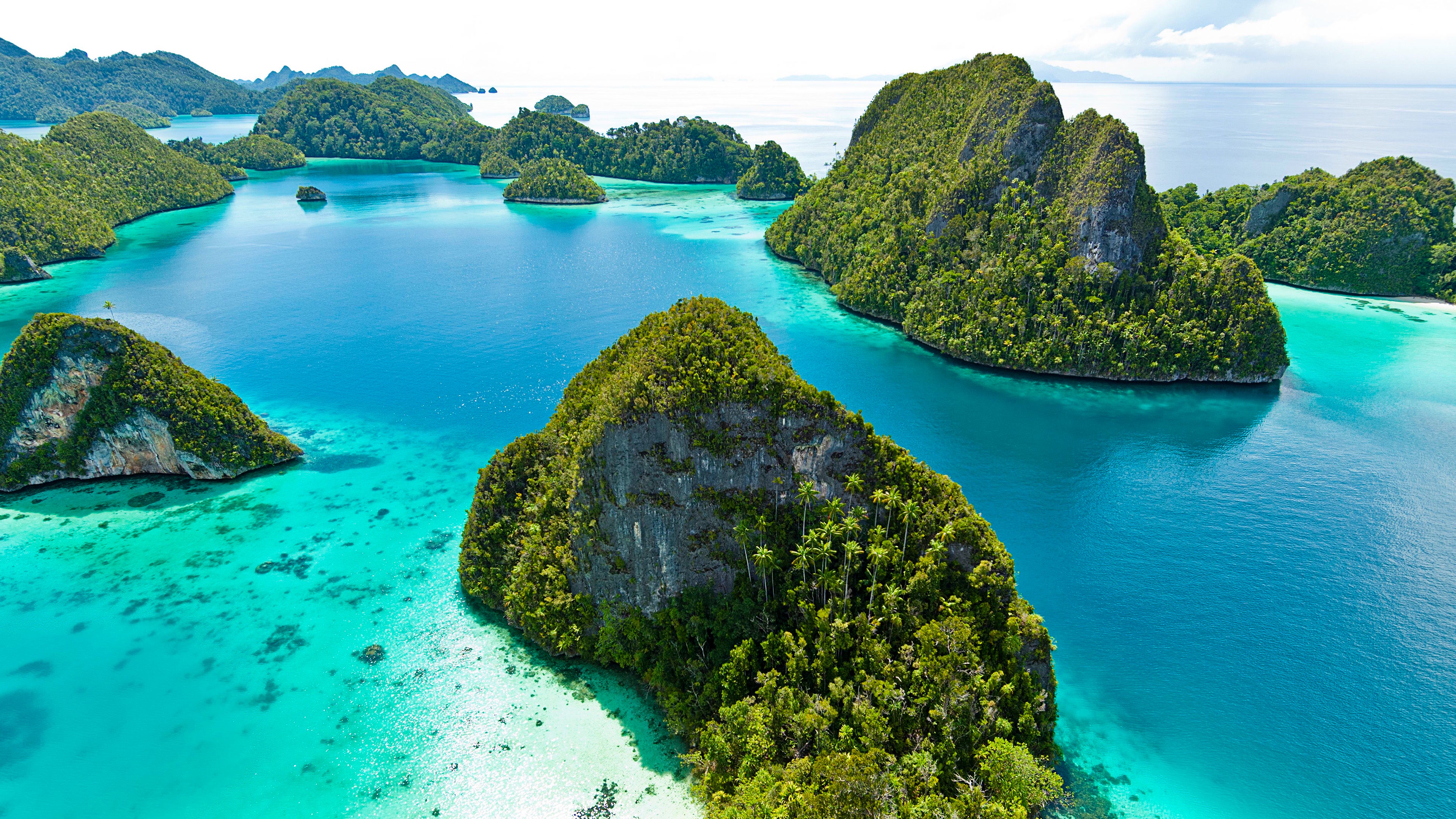 Exploring the Wonders Above the Reefs