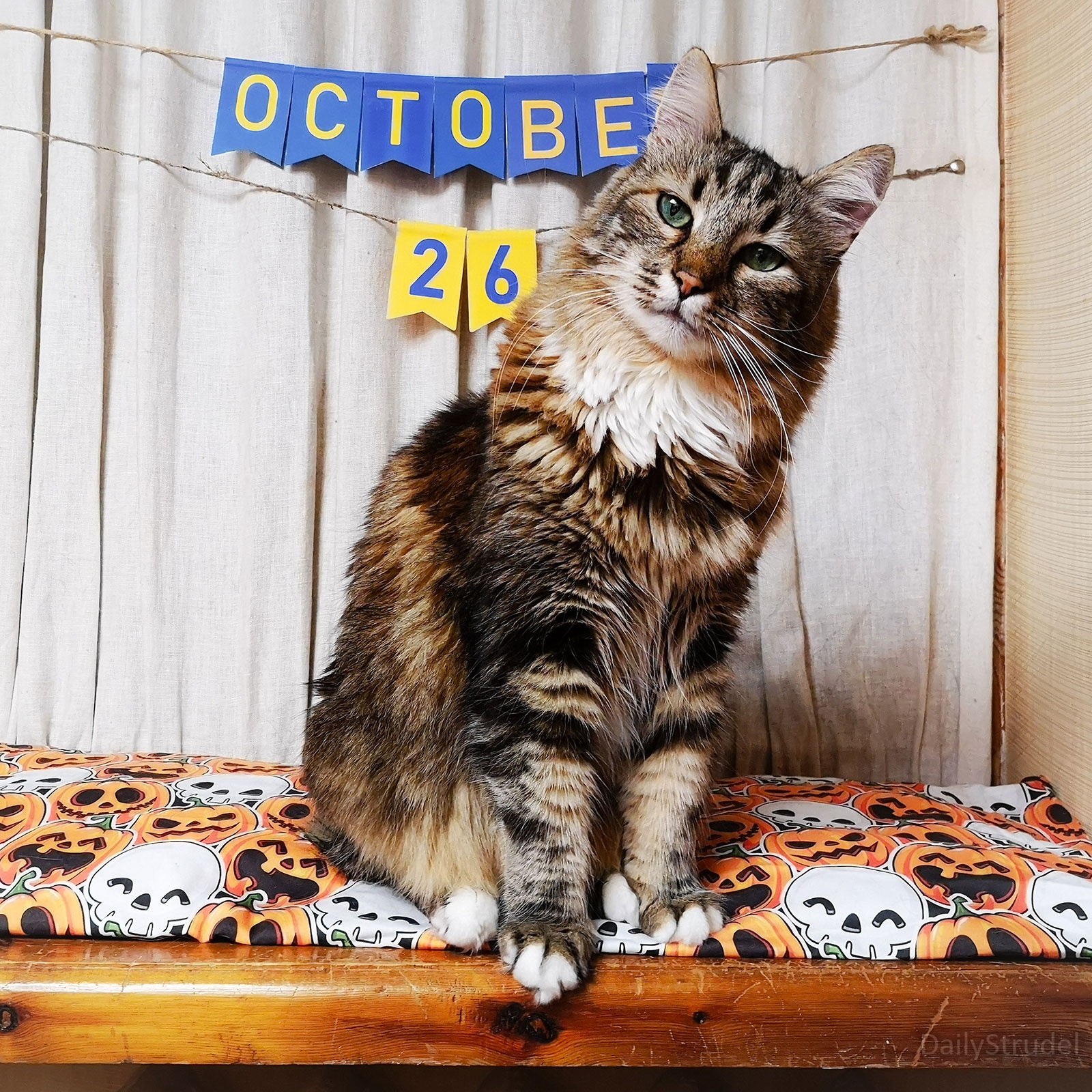 Mark Your Calendars: October 26