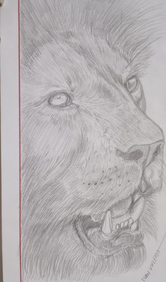 Majestic Lion in All Its Glory