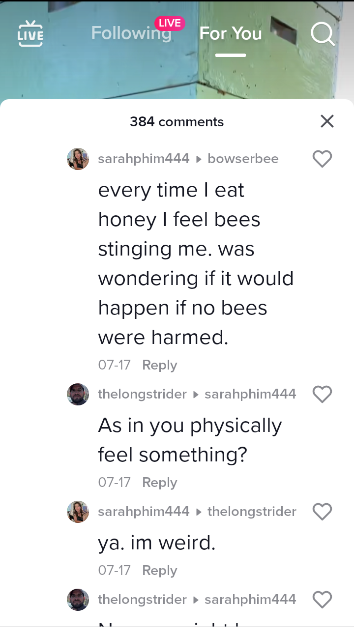 The Epic Return of the Phantom Bees