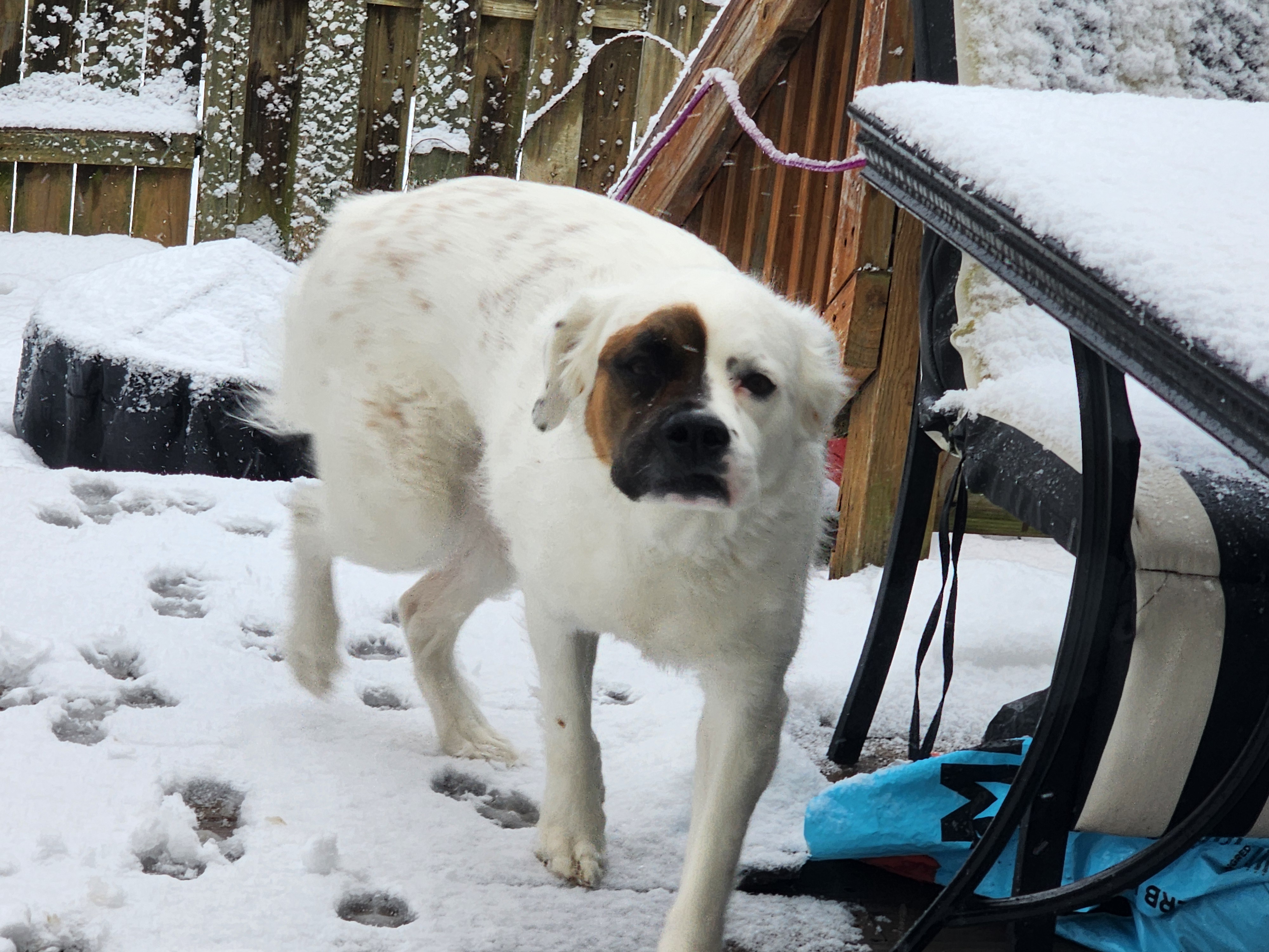 Creating the Perfect Little Snow Angel: A Winter Delight