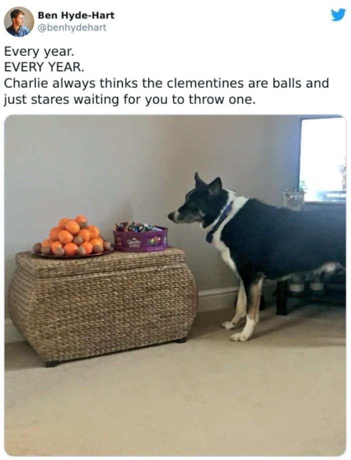 Day 4 of the Meme Advent Calendar: Let the Fun Continue!