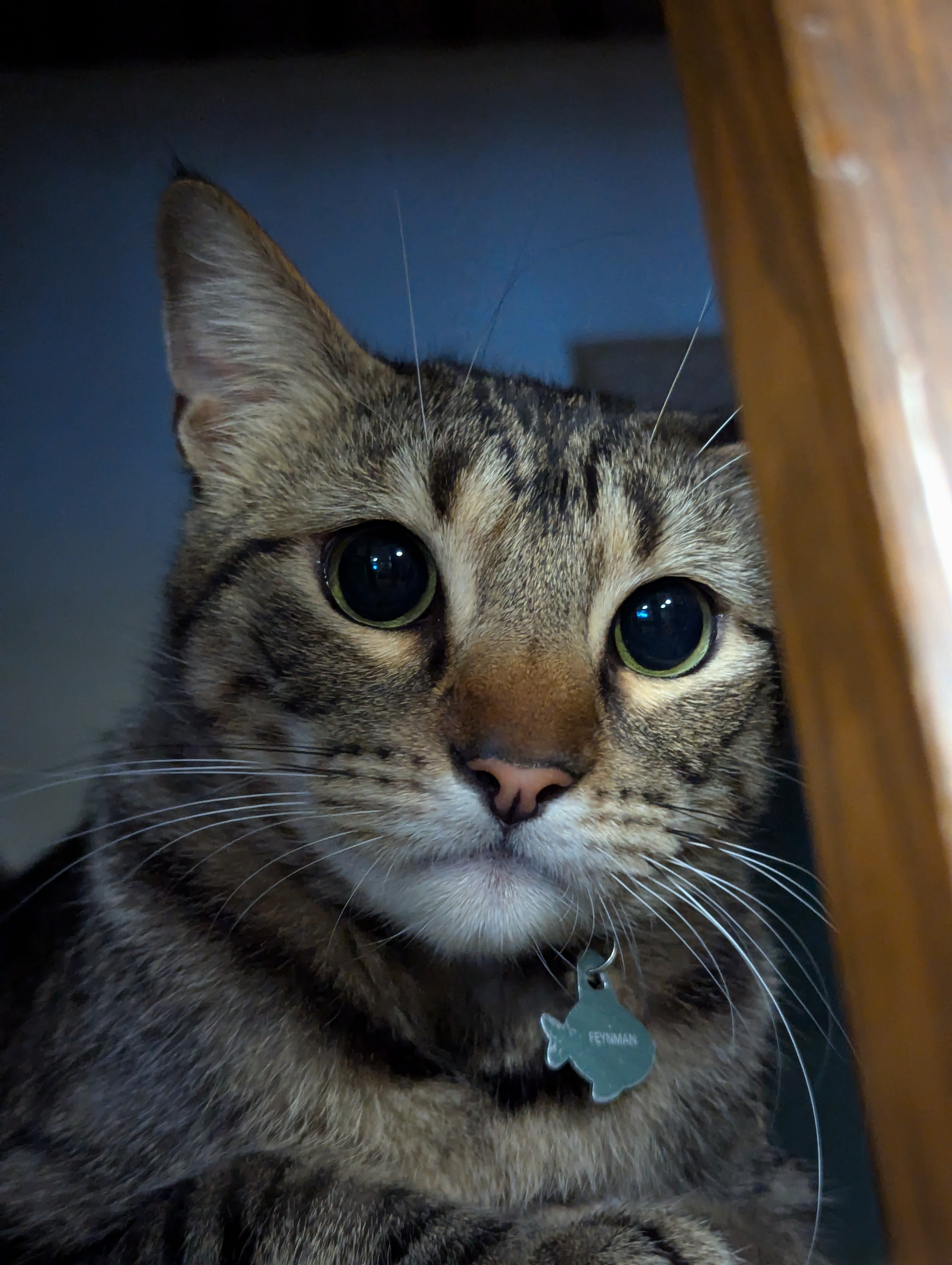Just Moments Before the Unexpected Attack!