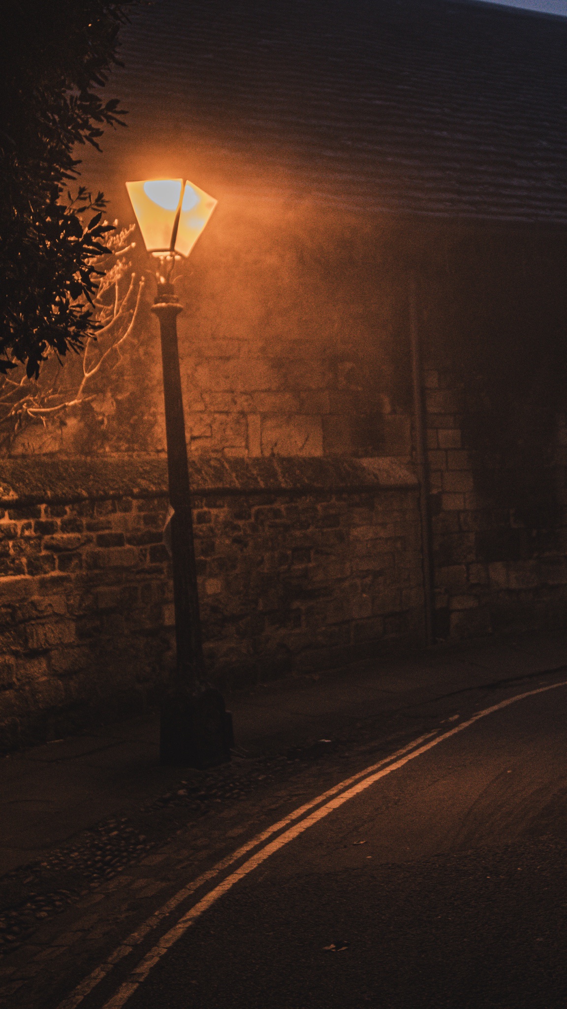 Illuminating the Night: The Beauty of Street Lamps