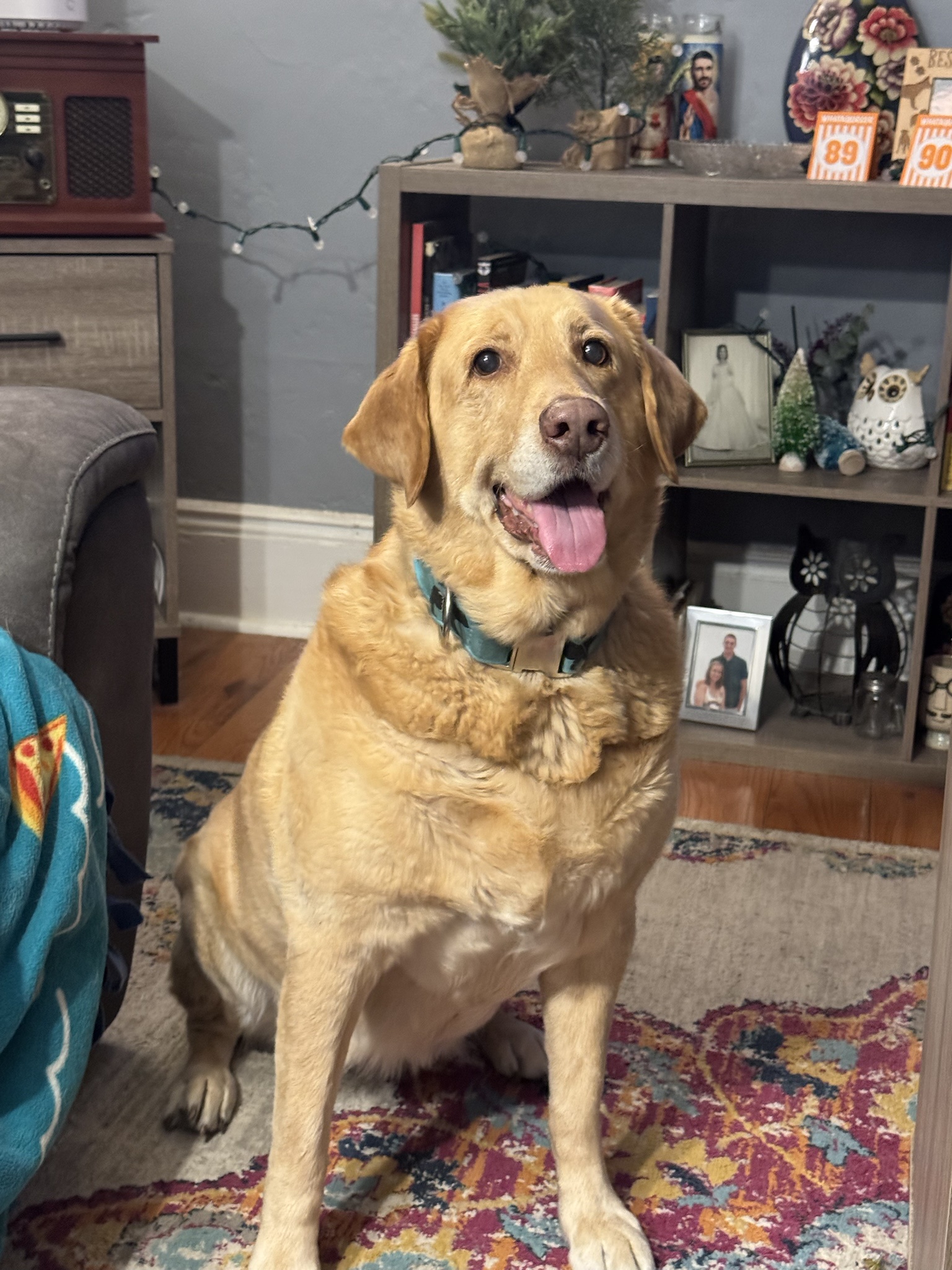 Celebrating 12 Wonderful Years with My Best Friend Stella!