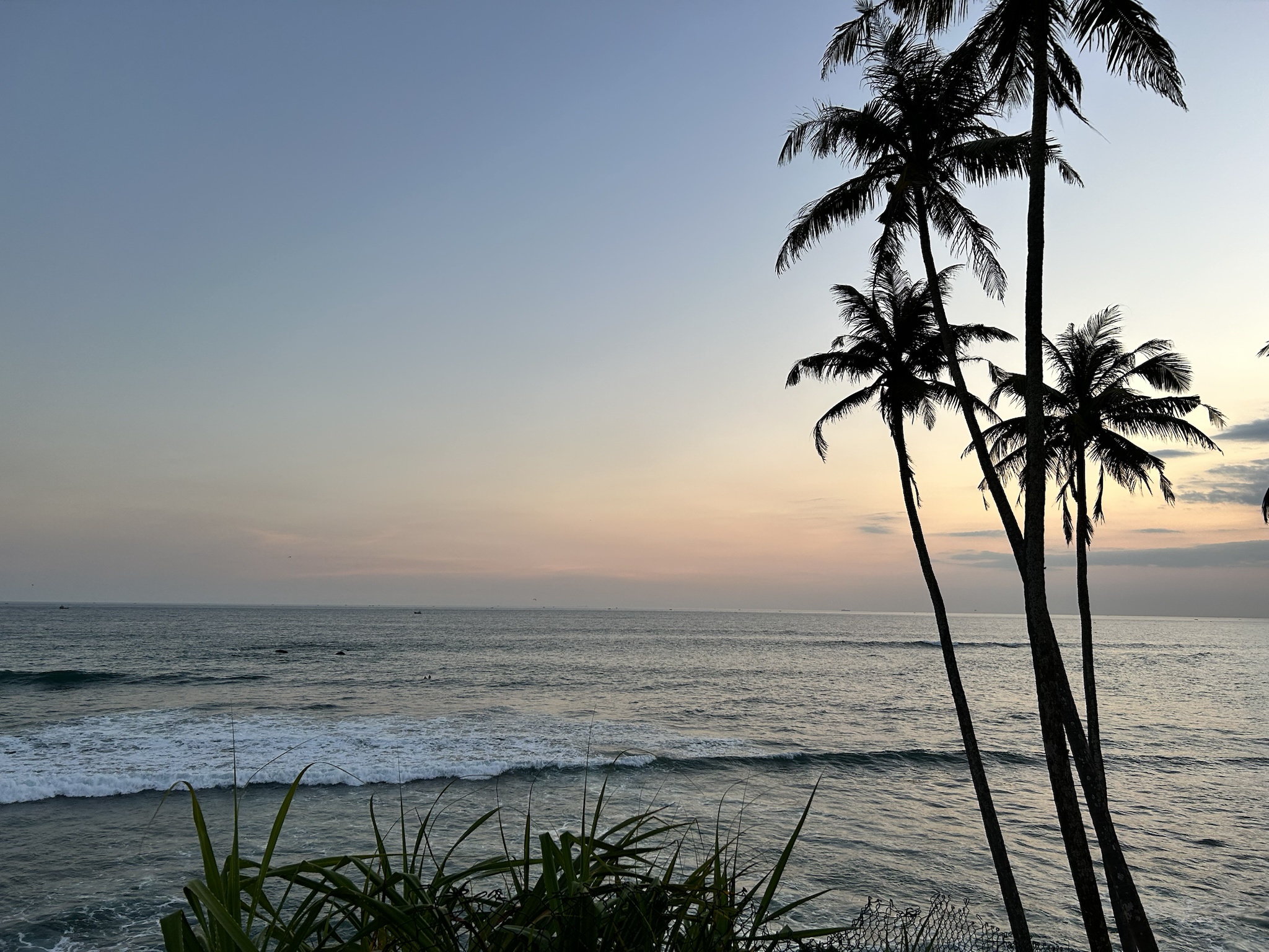 Discover the Beauty of Mirissa Beach in Sri Lanka