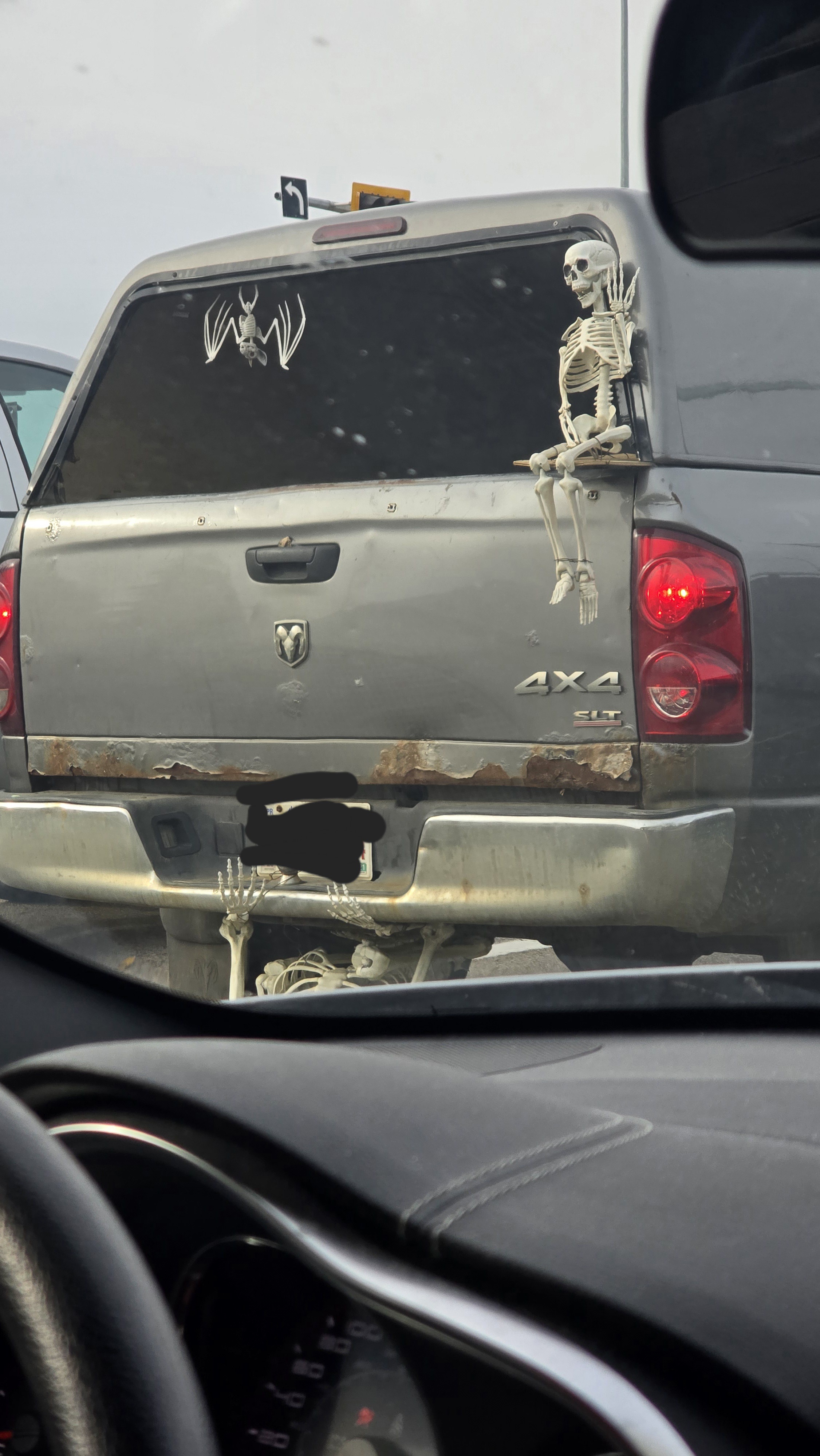 Spotted This Gem During My Outing Today