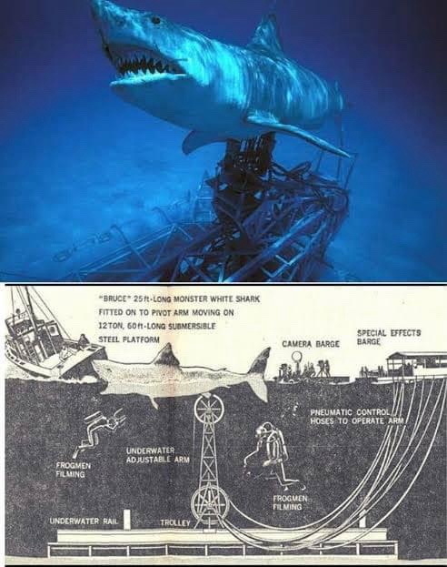 10 Fascinating Facts You Didn't Know About 'Bruce' the Shark from Jaws