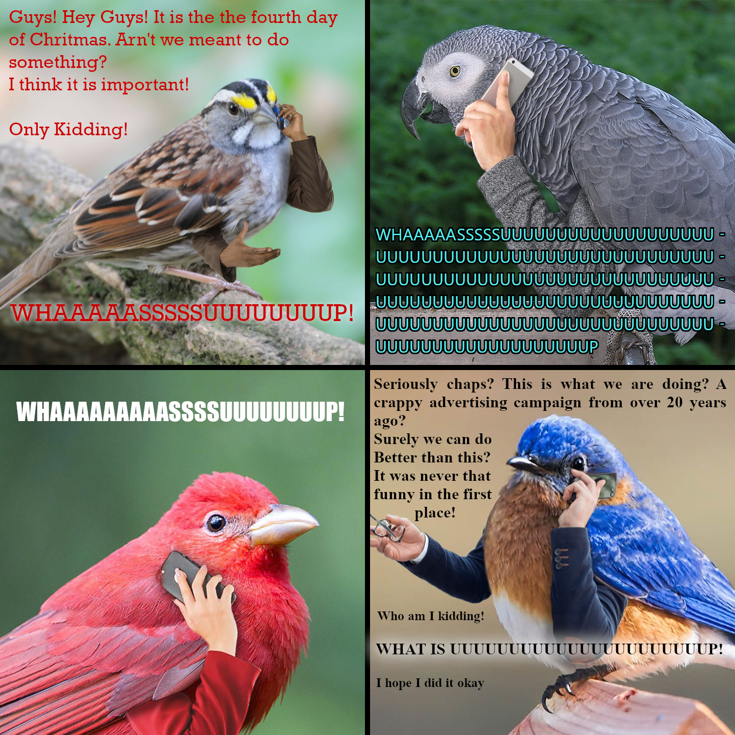 The iconic Four Calling Birds are back!