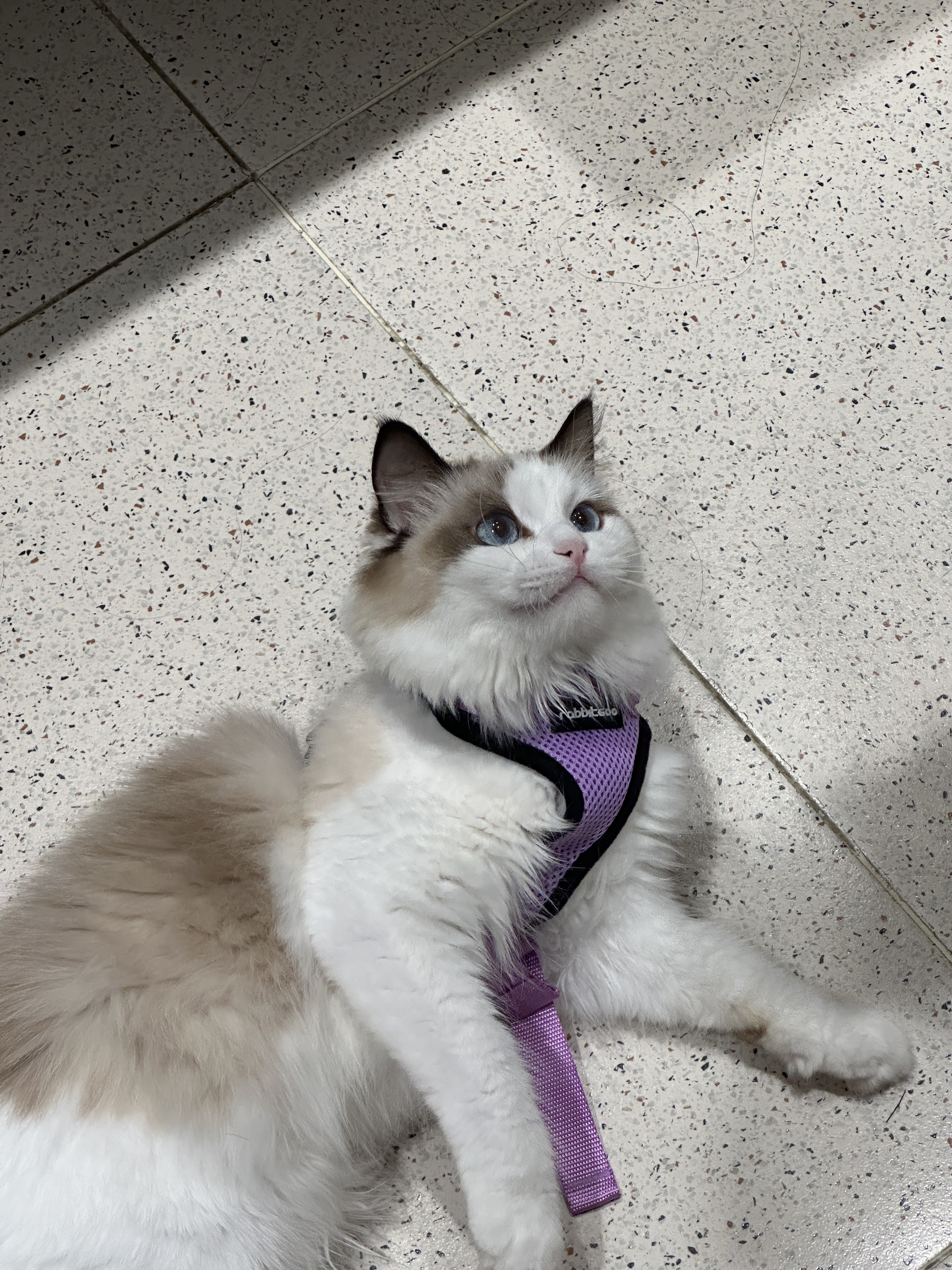 Check out my adorable little one!