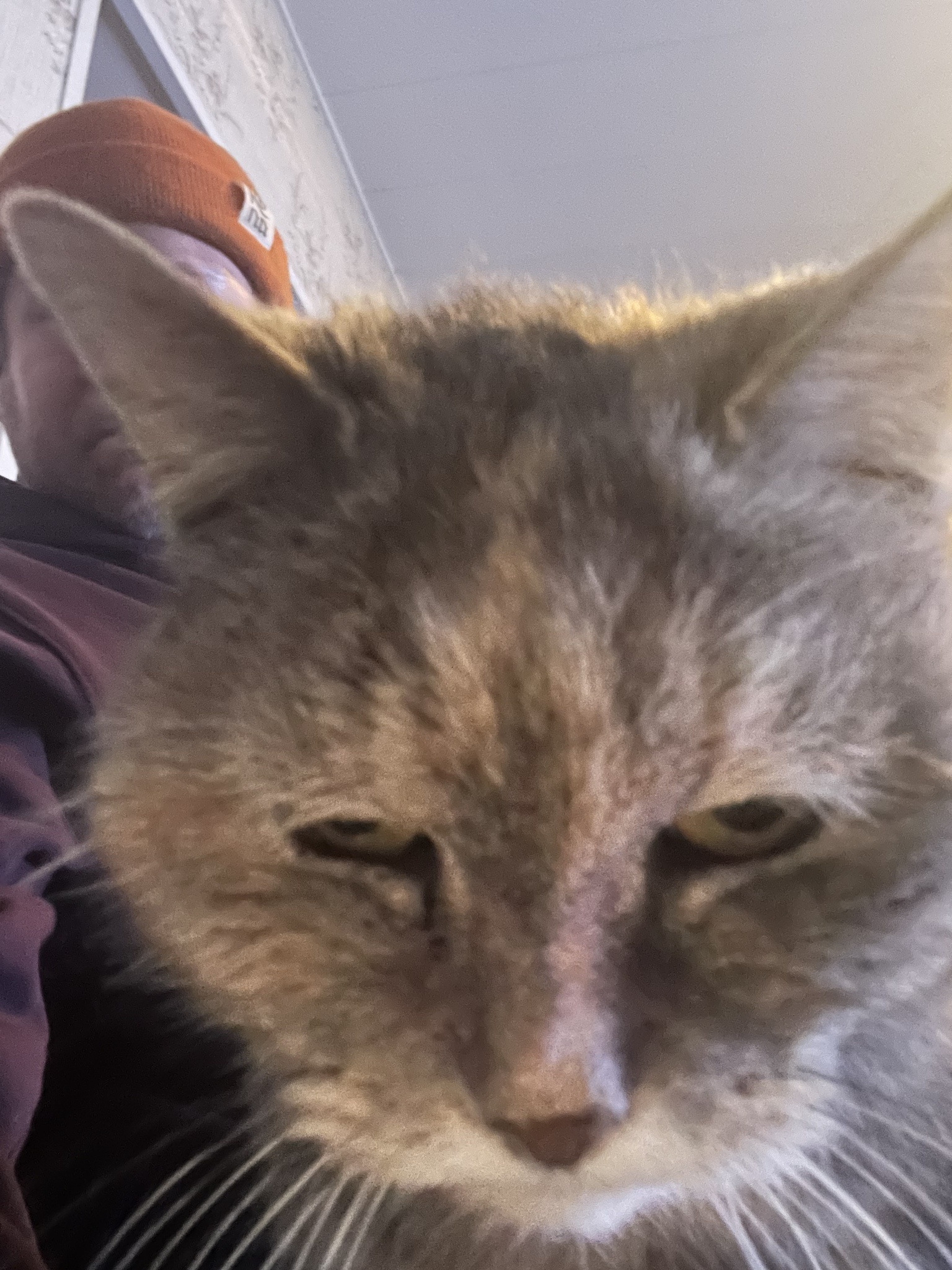 Meet Our Granny: 20 Years Young and Missing Some Pearly Whites