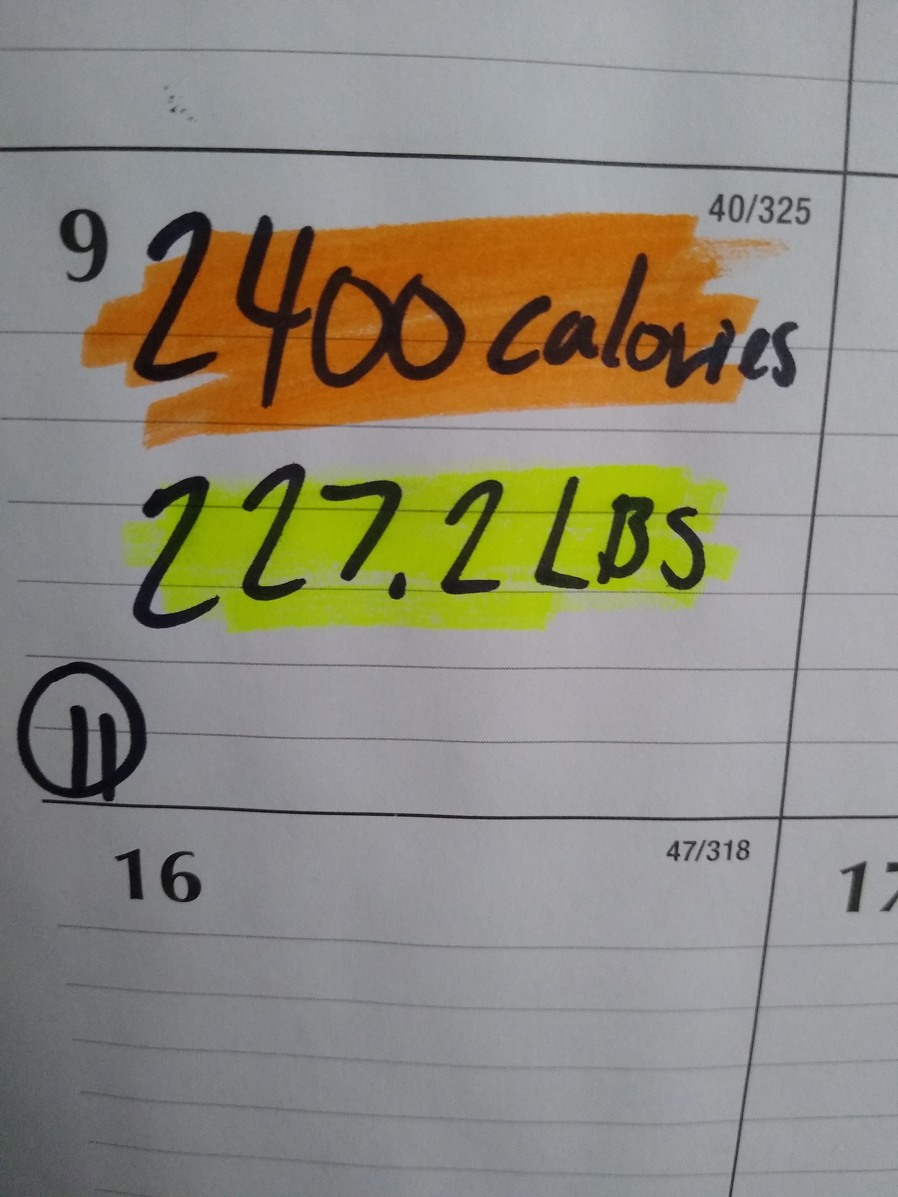 Day 11 of My Daily Weigh-In and Calorie Tracking Journey