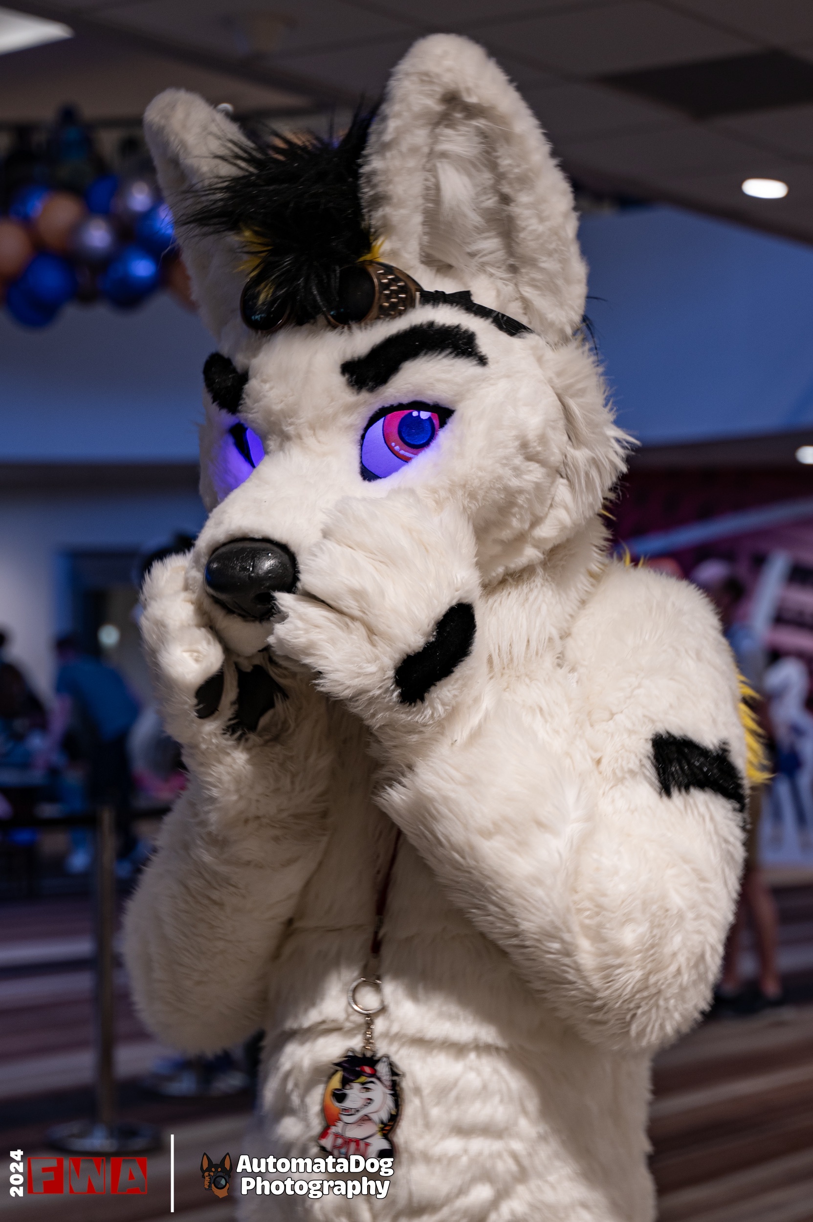 Daily Dose of Furry Photography - Day 396