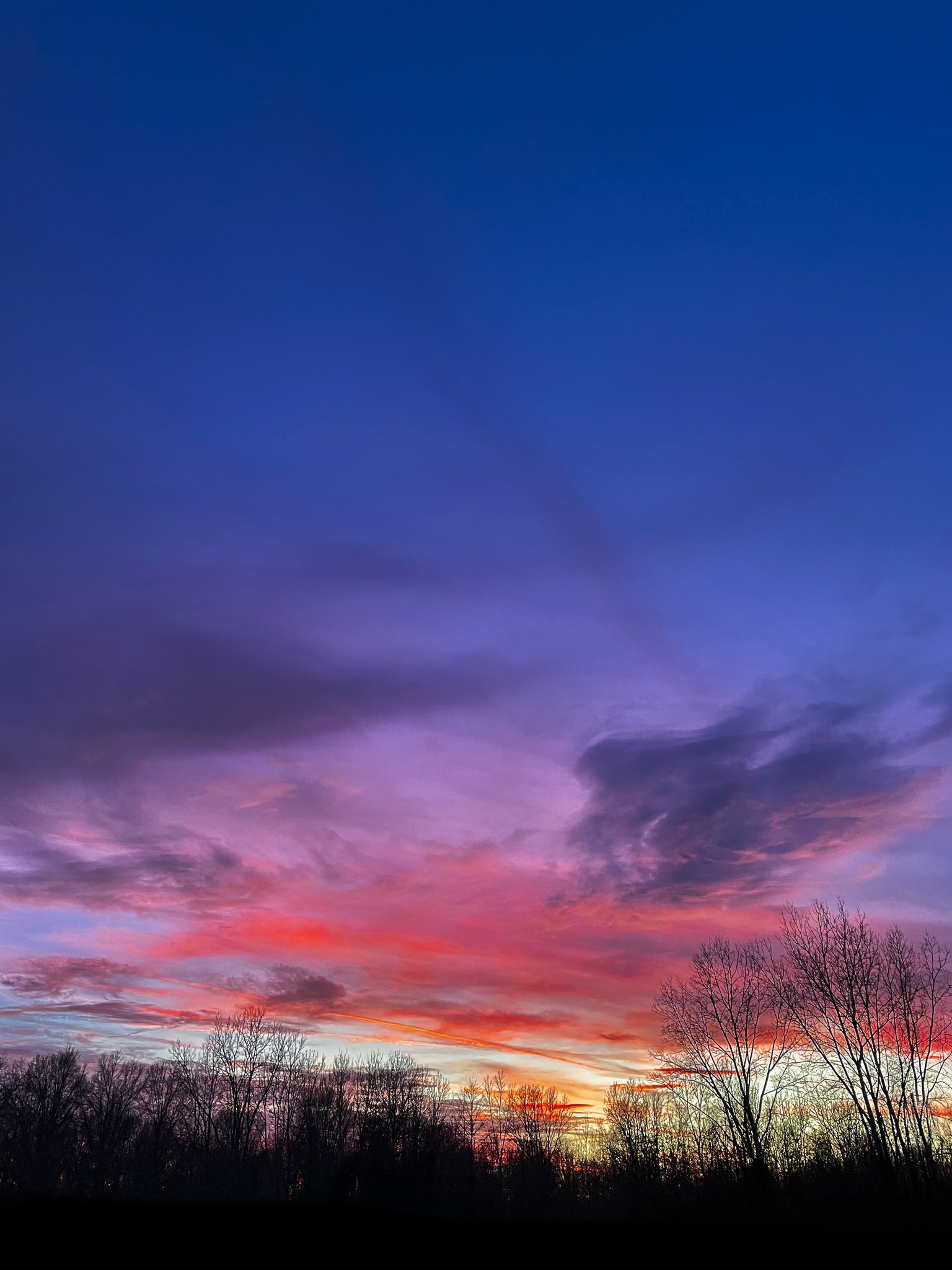Last night's breathtaking sunset in southern Michigan.