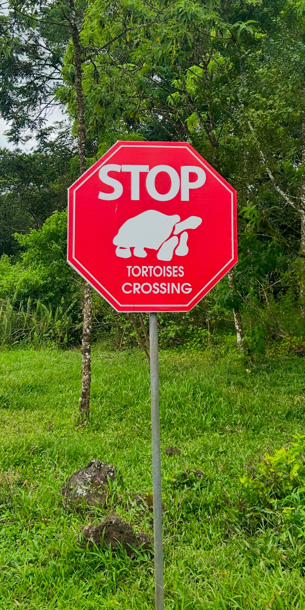 Imgur, Get Ready for a Roller Coaster Year Starting in the Galapagos!