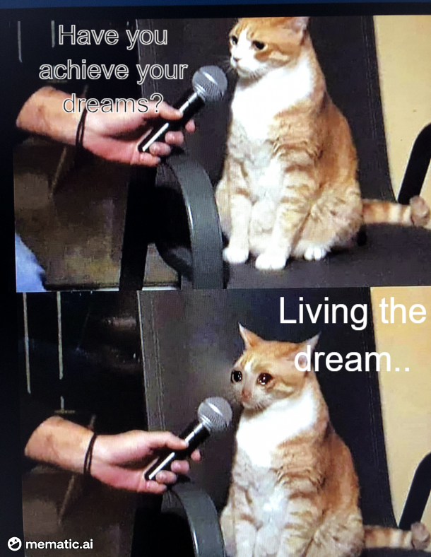 Living the ultimate dream in The Sims...