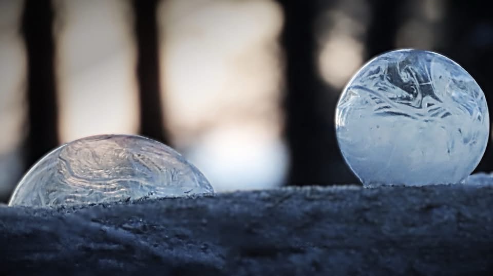 Captivating Ice Bubbles: Nature's Frozen Marvels