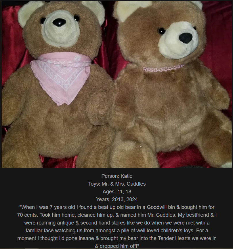 Day 780: Come check out my website celebrating childhood toys! Meet Mr. and Mrs. Cuddles, our latest treasures!