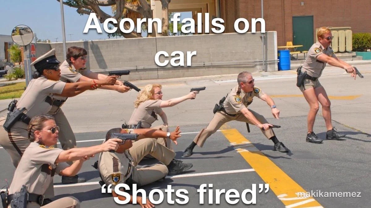 The Incredible Strength of an Acorn