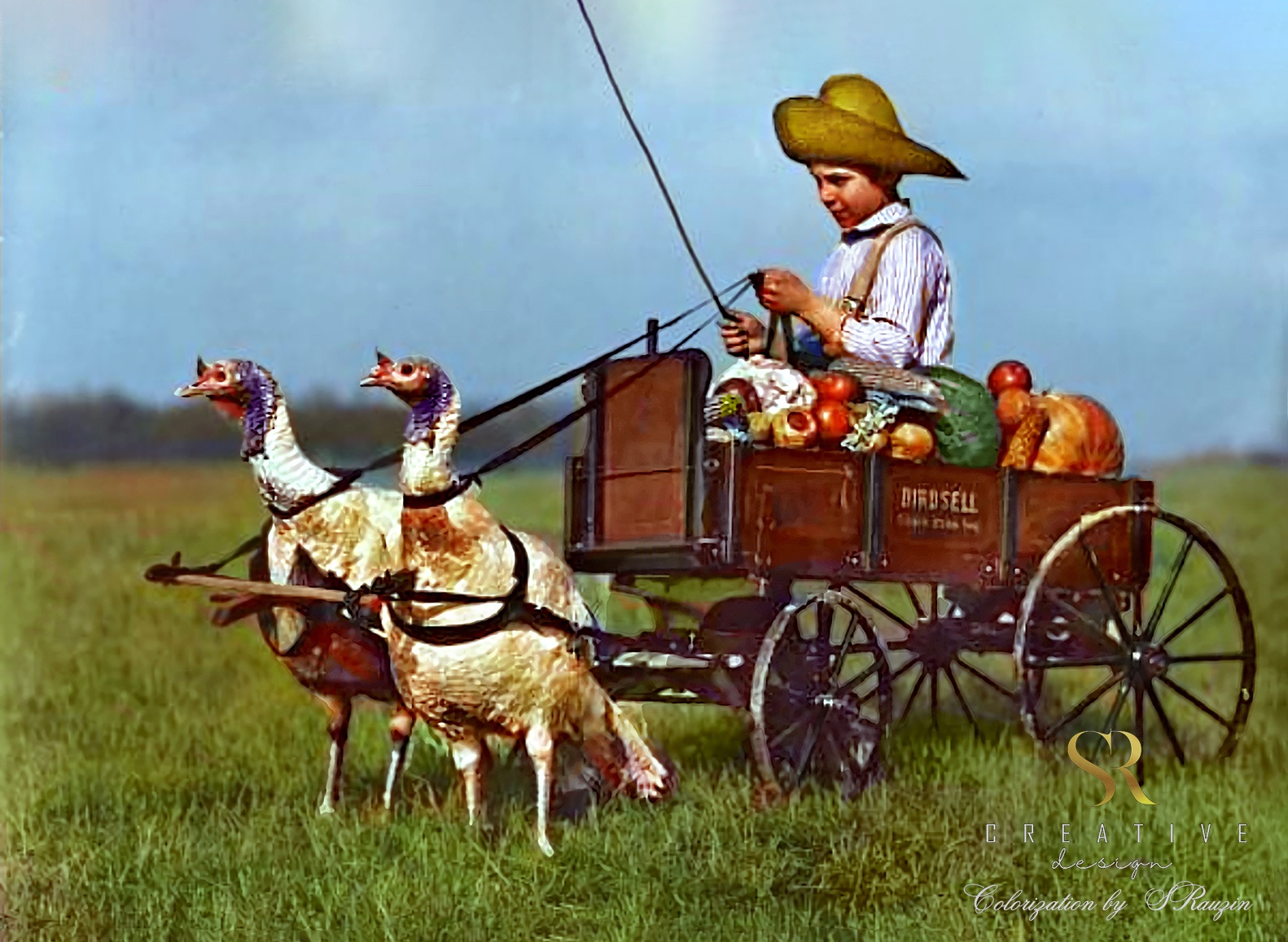 The Turkey-Driven Wagon: A Quirky Piece of History from 1910!